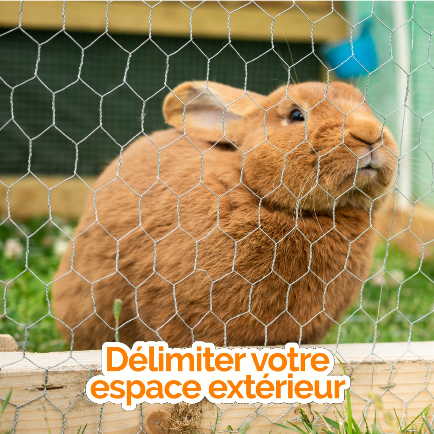 Grillage triple torsion galvanisé pour poules ou petits animaux, clôture poulailler, jardin - 25 m x 1 m - Maille 25 mm - Diam 1 mm - Gris - Linxor - 4