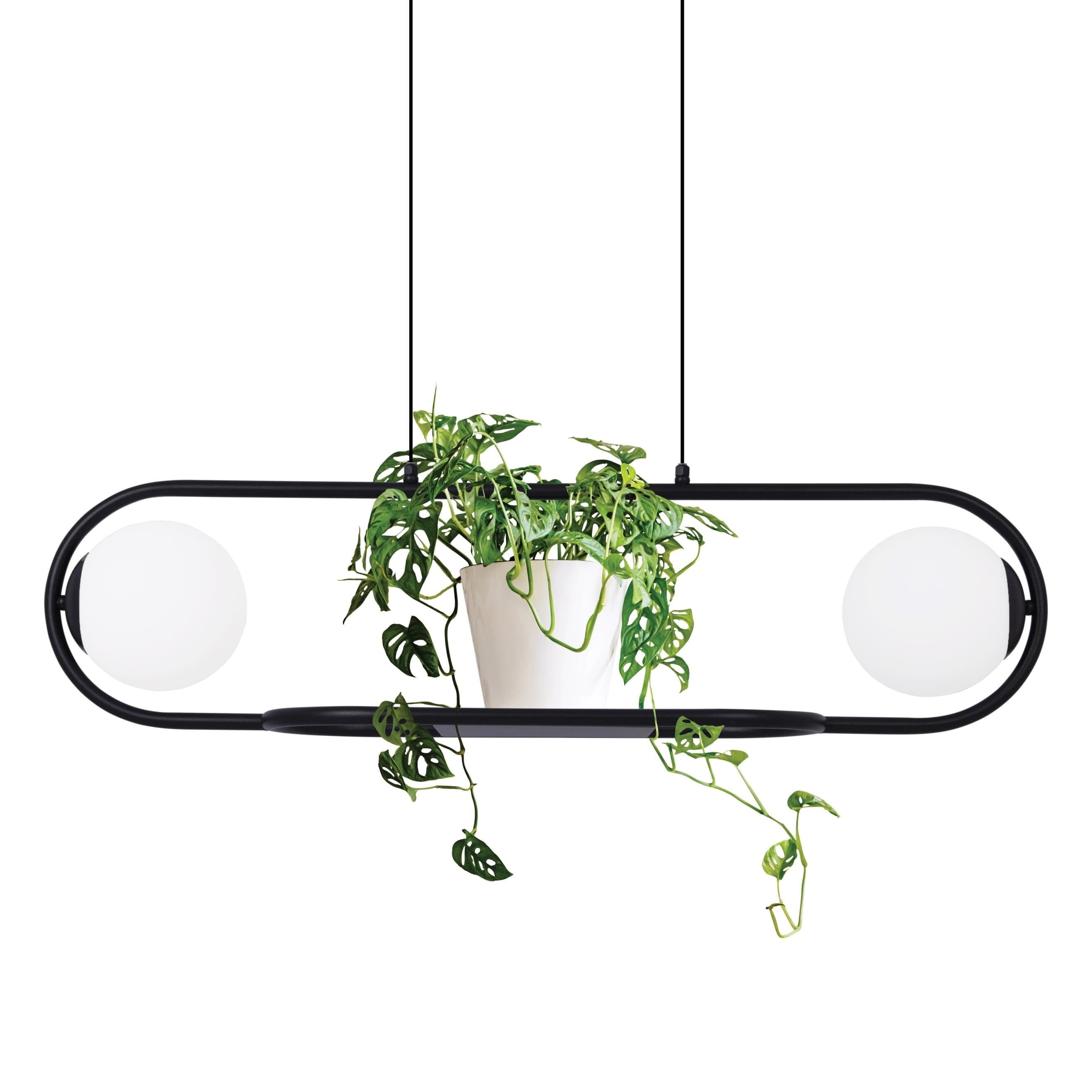 Lampa wisząca Finestra czarno-biała 2xE27x40W z kwietnikiem wym: 80 x 93 x 16 cm szkło Kaja