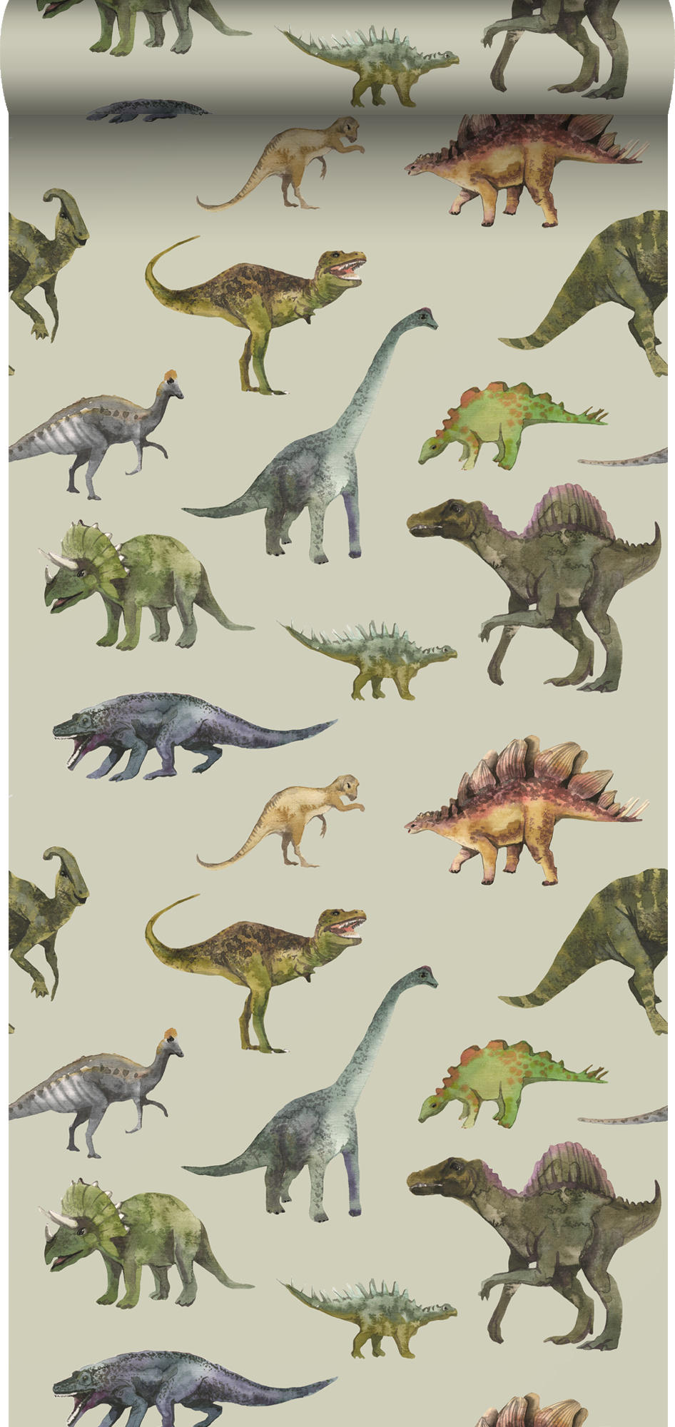 Tapeta dinozaury szaro zielonym - 50 x 900 cm - SANDERS &amp; SANDERS