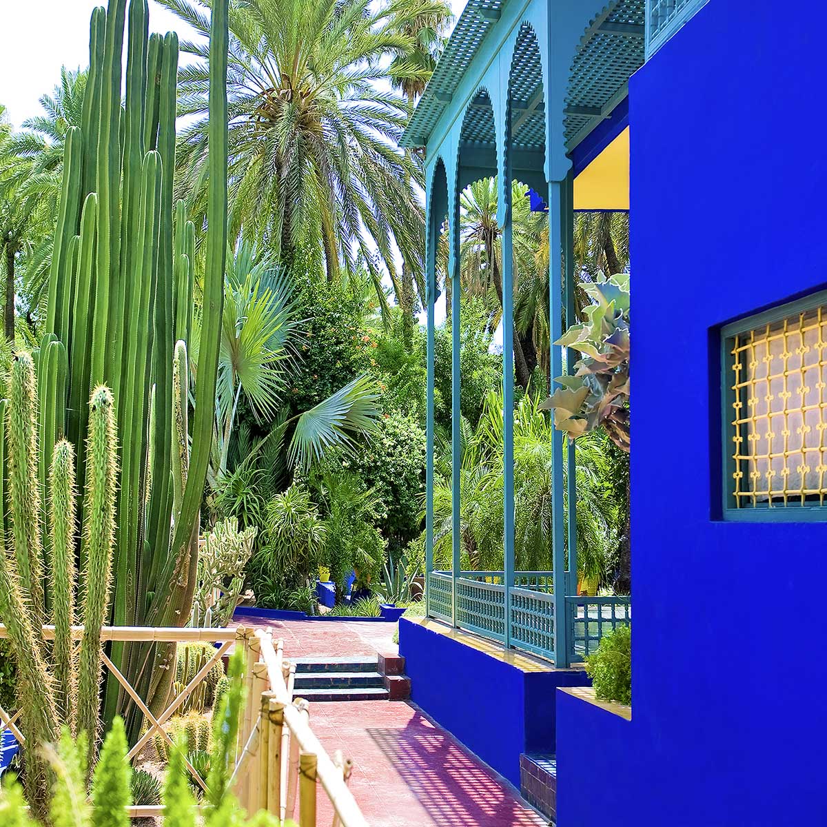 Tableau jardin majorelle - 60x40cm - 3