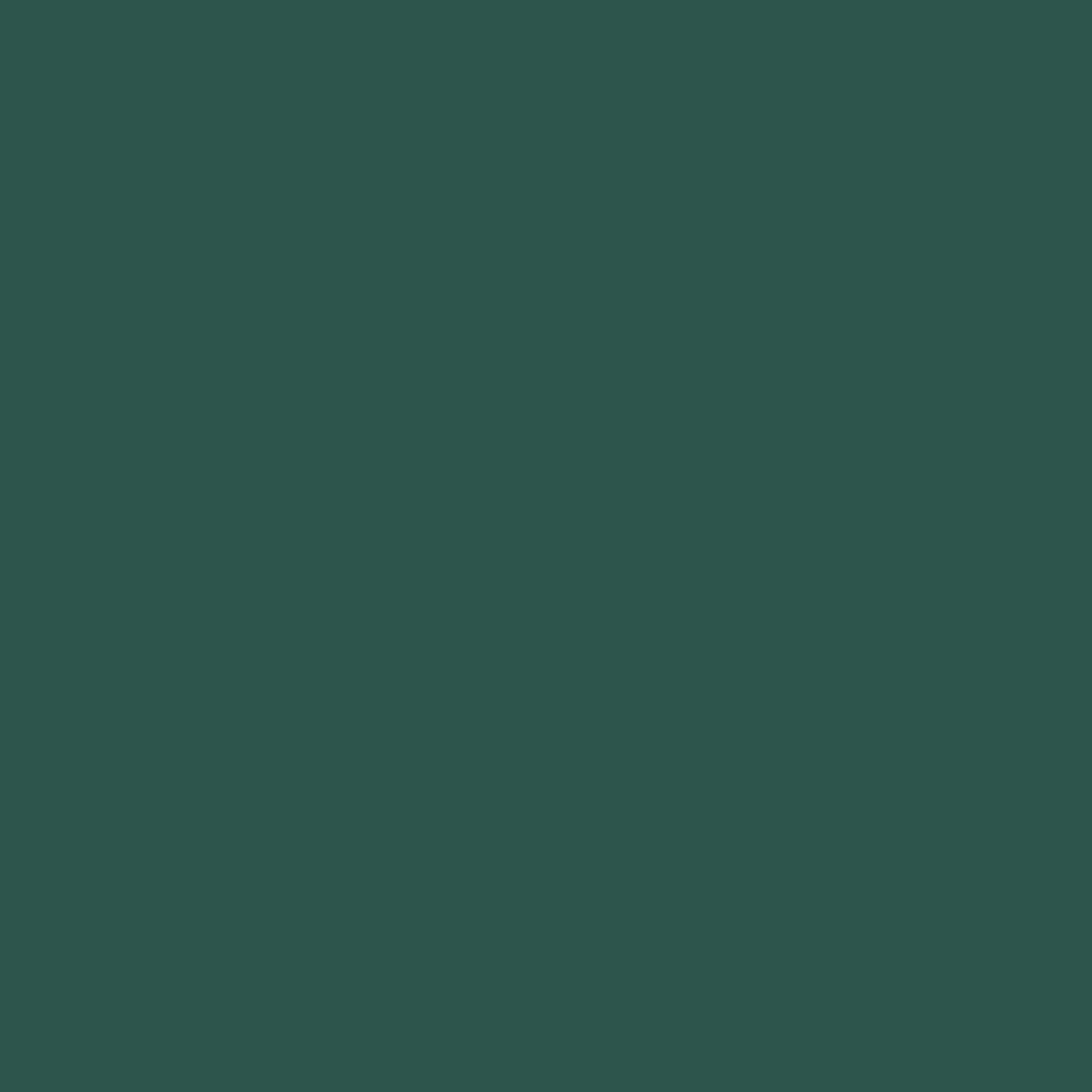 Peinture Sol Beton - Vert pin - RAL 6028 - 15 L - Métaltop - 2
