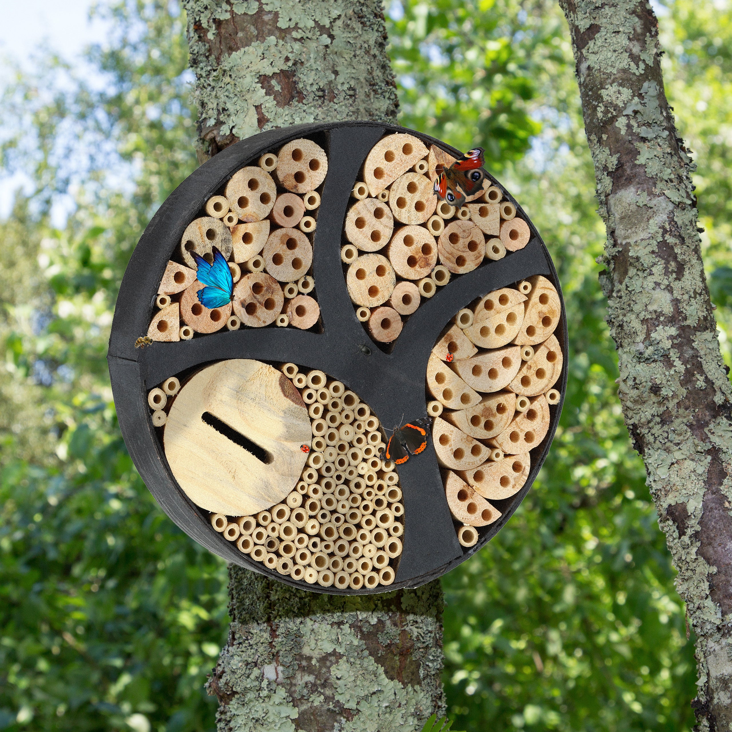 Casetta Per Insetti In Legno Acquista QUI