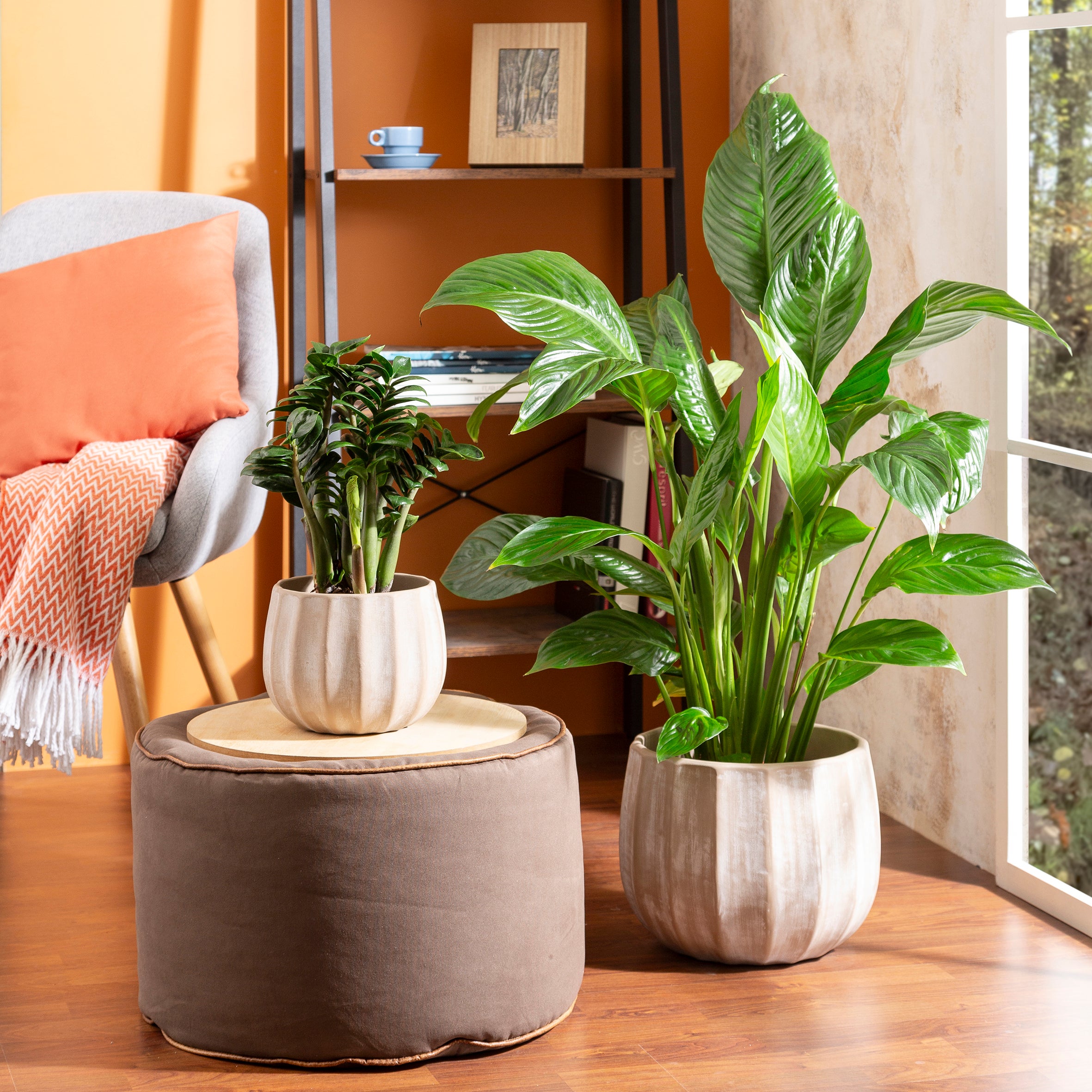 Scheurich Runa, pot de fleurs en céramique, couleur: Washed Cream, 22,57 cm de diamètre, 19,5 cm de hauteur, 13 l de vol. - 2