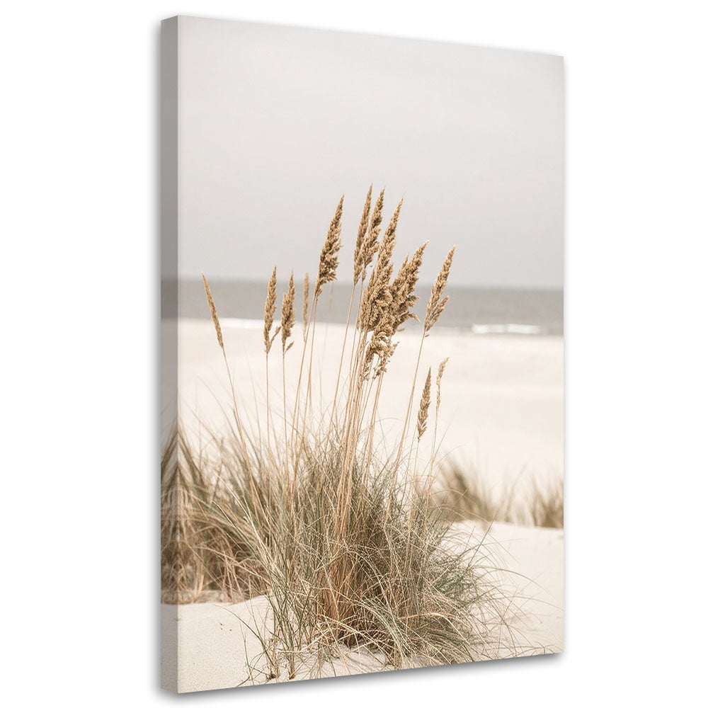 Obraz do salonu kuchni biura, Plaża morze rośliny natura beżowy 40x60