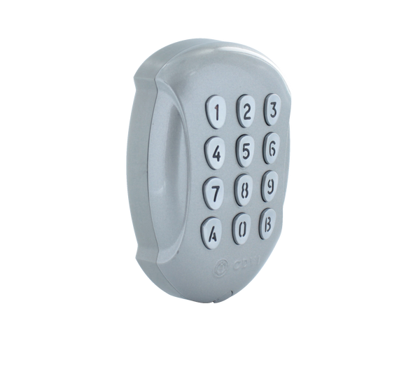 Delta Dore 6413255 CLE 8000 TYXAL plus - 2