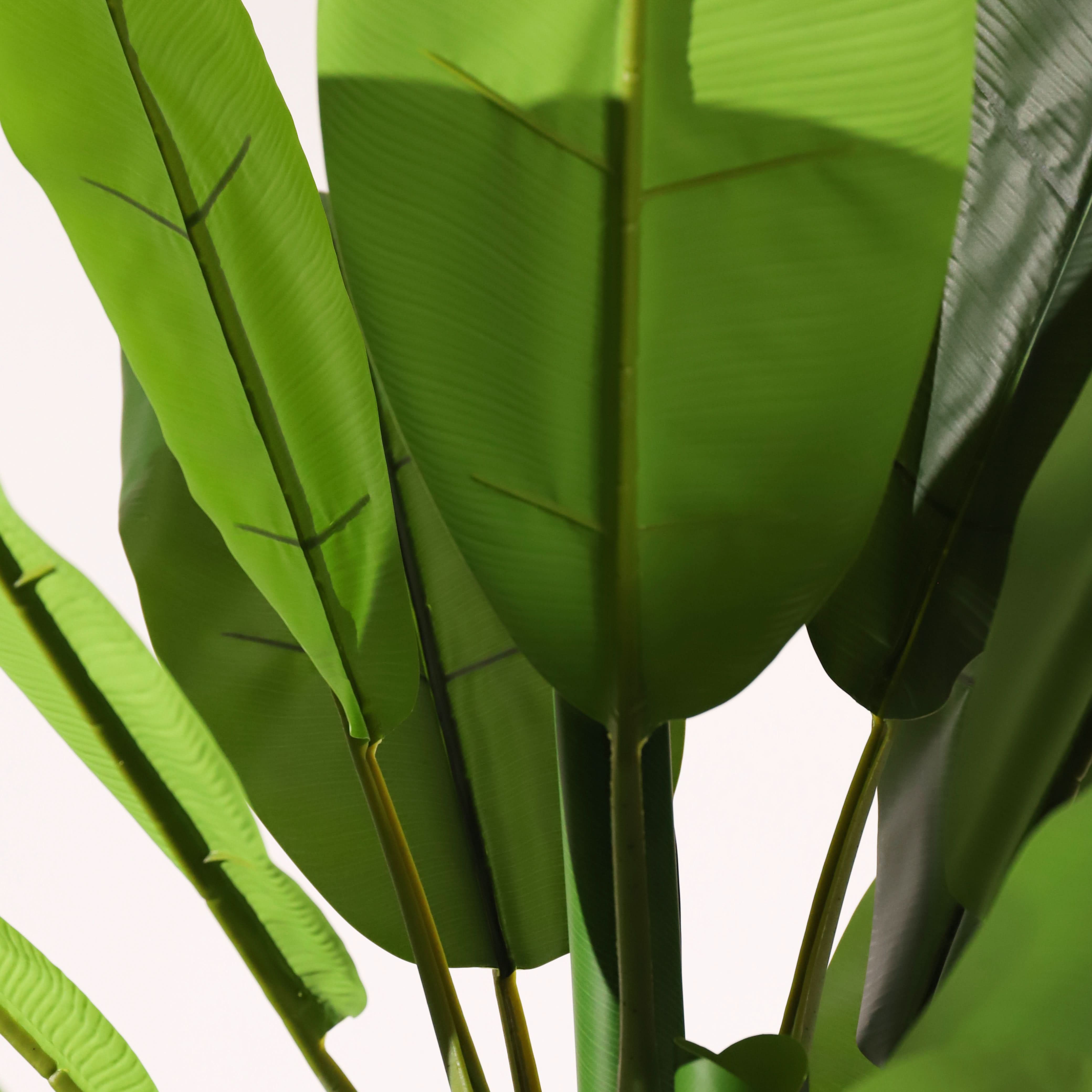 Planta artificial Bananera Marrón y verde 180 cm | Naturing Monde - Para interior - Tronco natural - En maceta - 7
