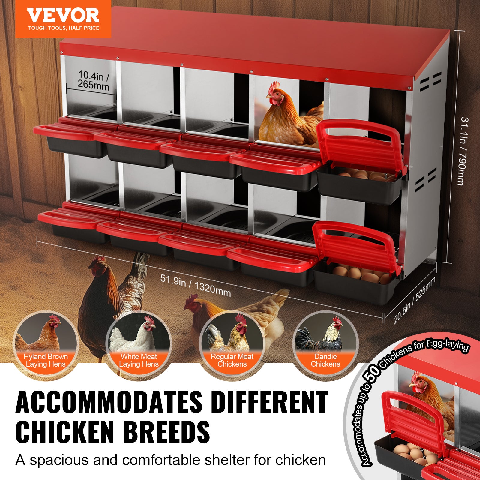 Pondoir à Poules VEVOR 10 Nids - Incliné Anti-Casse Œufs | Métal Galvanisé | 132x52x79 Cm