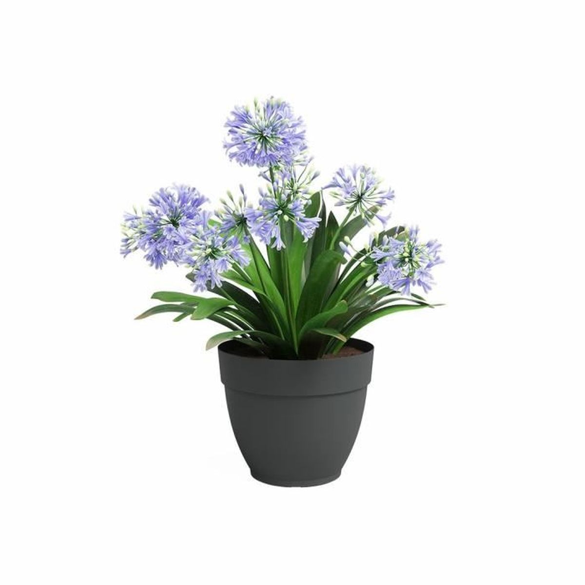 POT CAPRI CAMPANA 30CM ANTHRACITE - 8