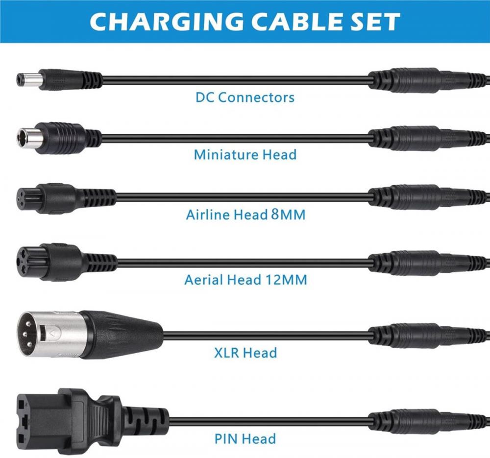Caricabatterie per bici elettriche - Caricabatterie universale per scooter elettrici - 36 V/42 V 2 A - con 6 connettori per caricabatterie - 2
