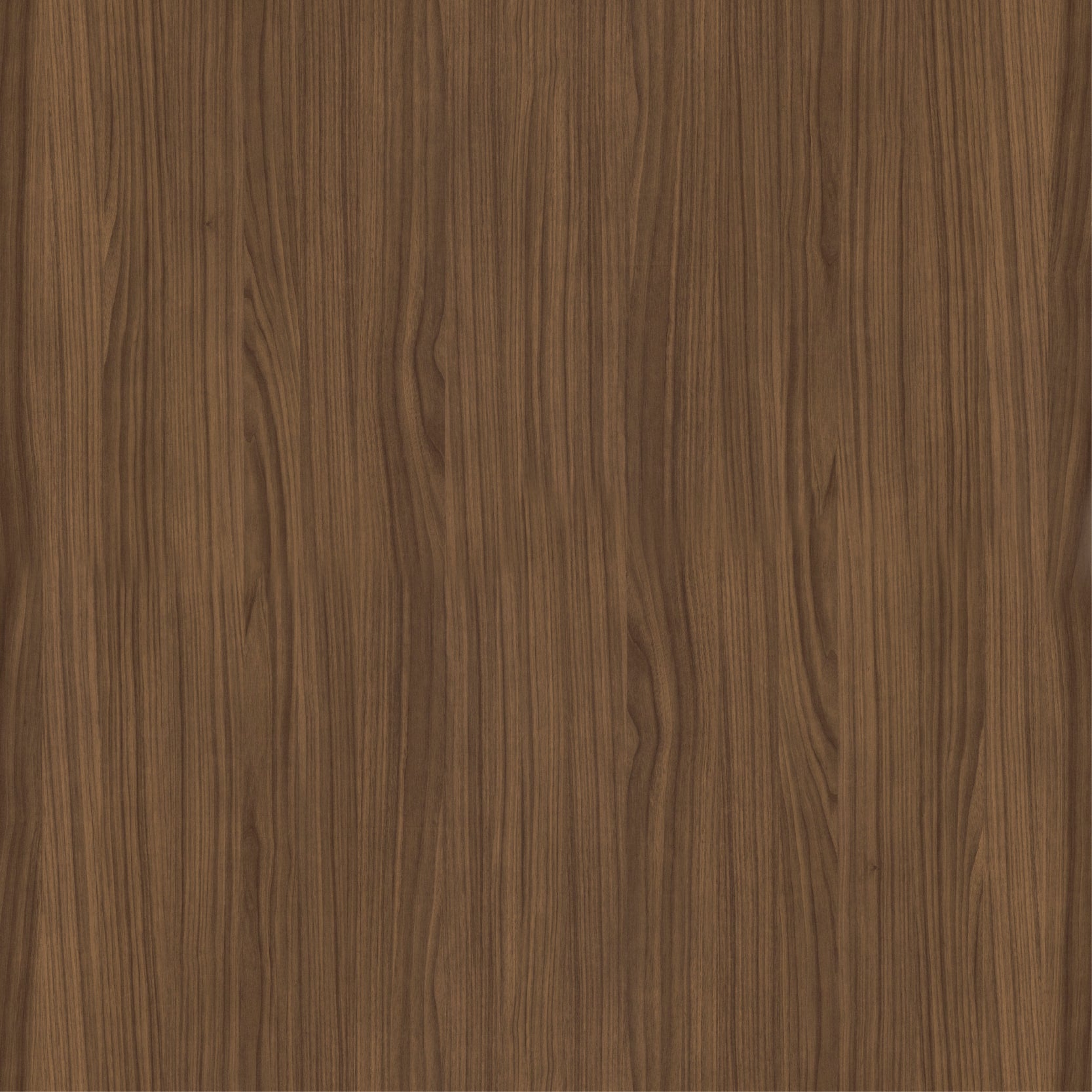 Meuble de rangement de salle de bain Avantarea, complément SANCY, colonne en noyer, 36x165x30cm - 5