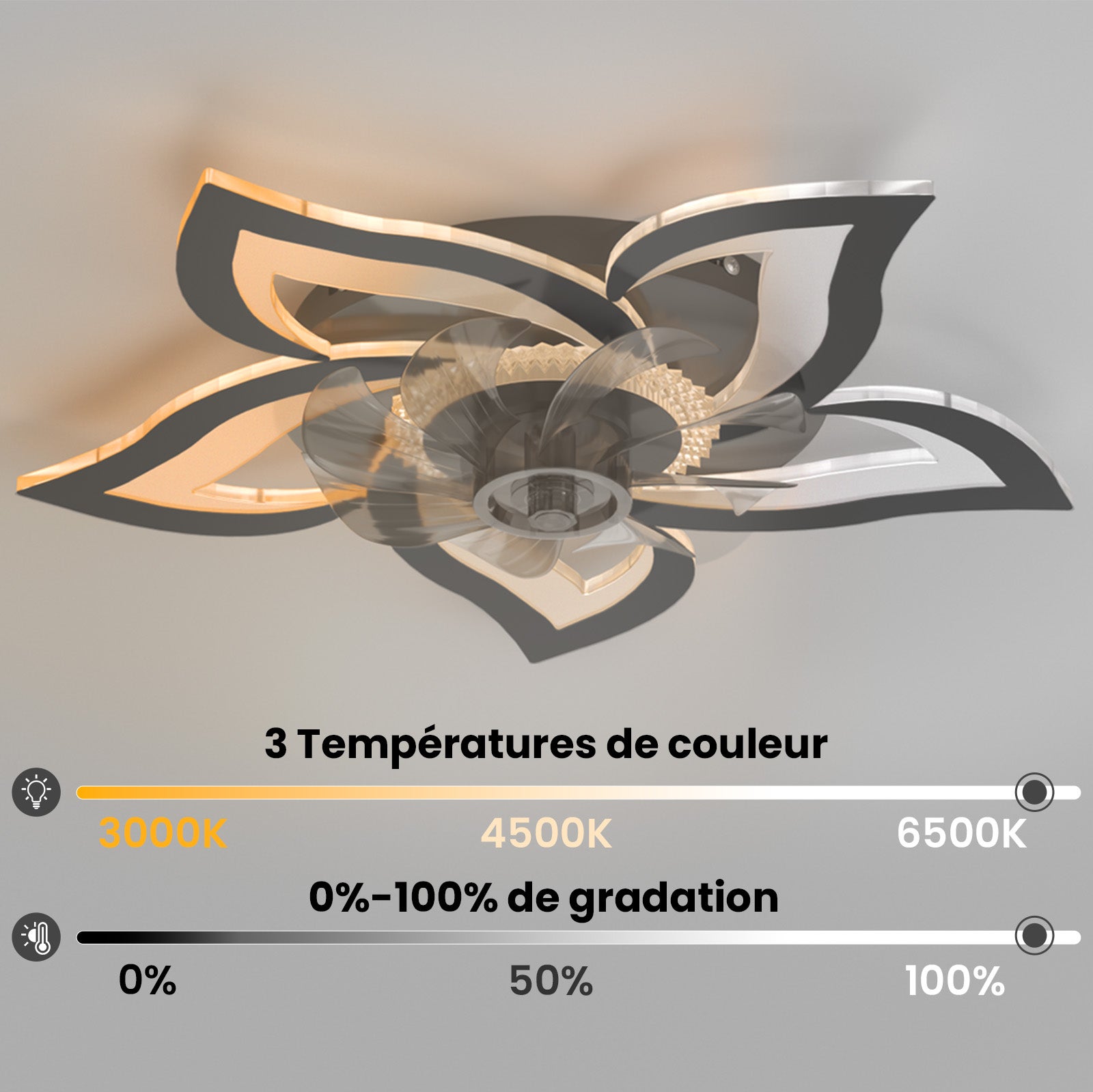 Heilmetz Ventilateur Lumineux Plafond Silencieux, 3 couleurs de lumière et 6 Vitesses de vent, avec Télécommande (Noir, Fleurs élégantes) - 2