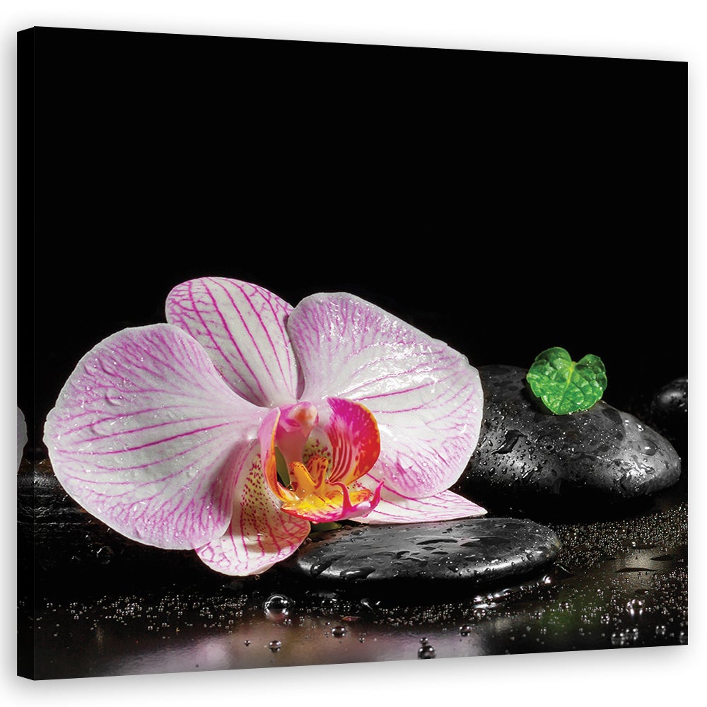 Obraz na płótnie, Kwitnąca orchidea zen 30x30