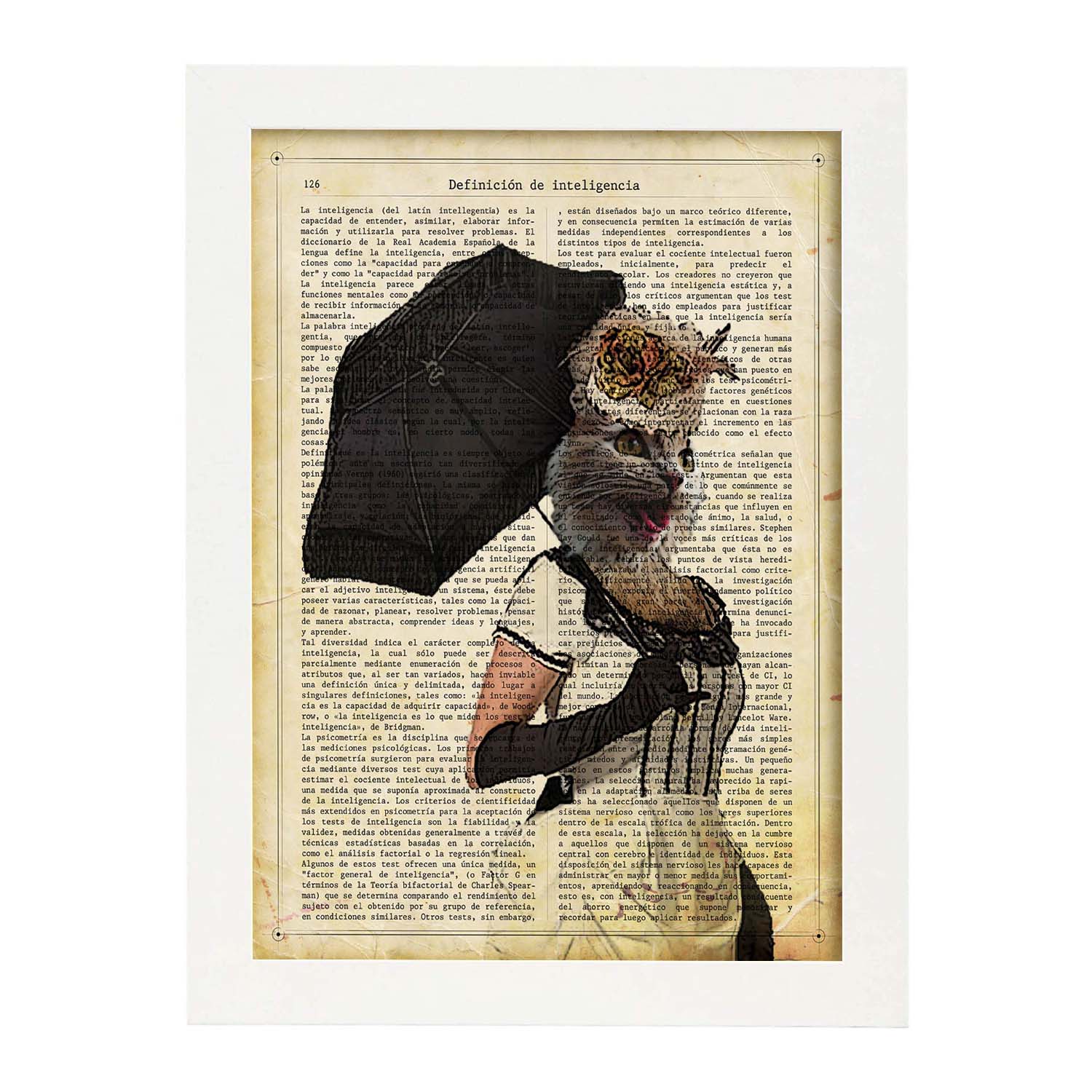 Poster de gato con sombrilla. láminas de animales con definiciones. ilustraciones de animales con textos. marco negro - a3