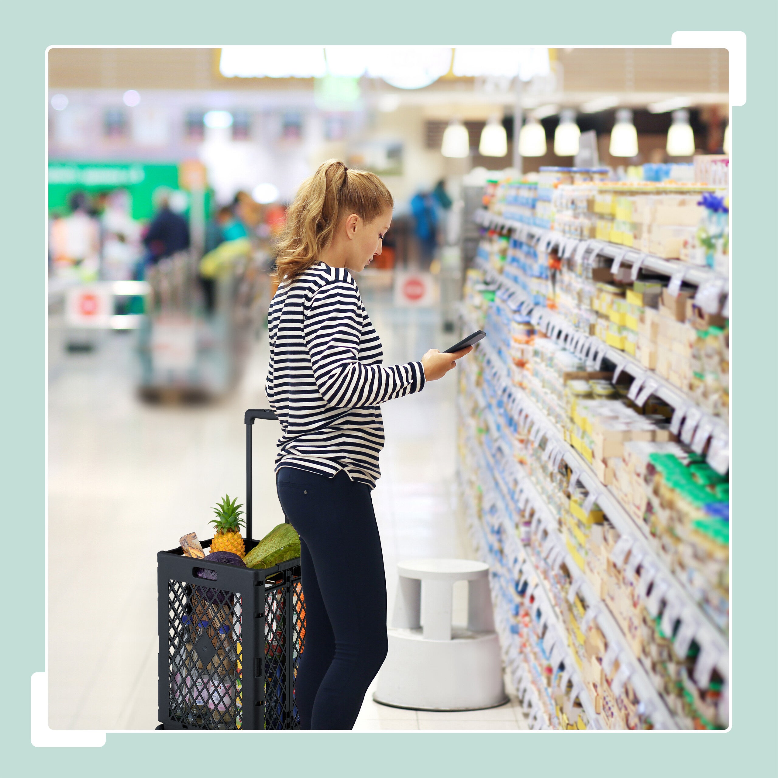 APOXCON - Carrito Plegable De Dos Niveles Con Una Caja, Carrito De Uso Pesado Con Ruedas