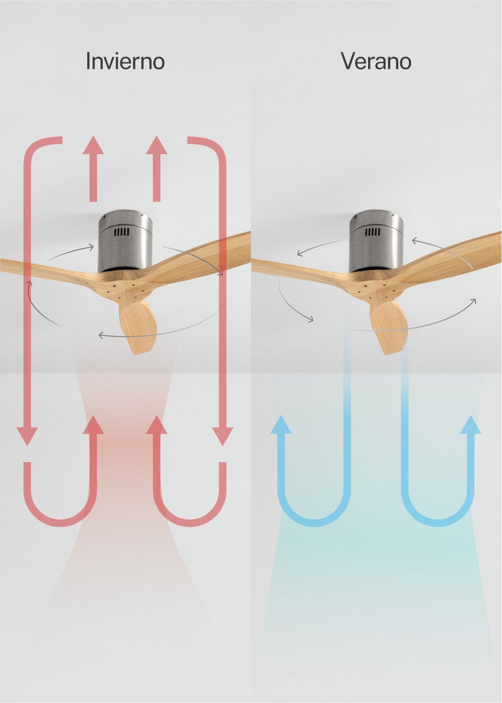 CREATE - WIND CALM M - Ventilateur de plafond silencieux 40W avec pales techniques en ABS Ø132cm sans eclaraige sans wifi - 6