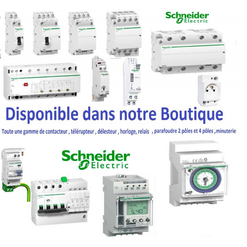 Délesteur Monophasé 1 Circuit 32a Schneider A9c15907 - 2