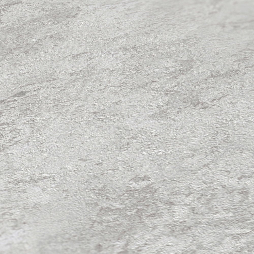 Gris / plata