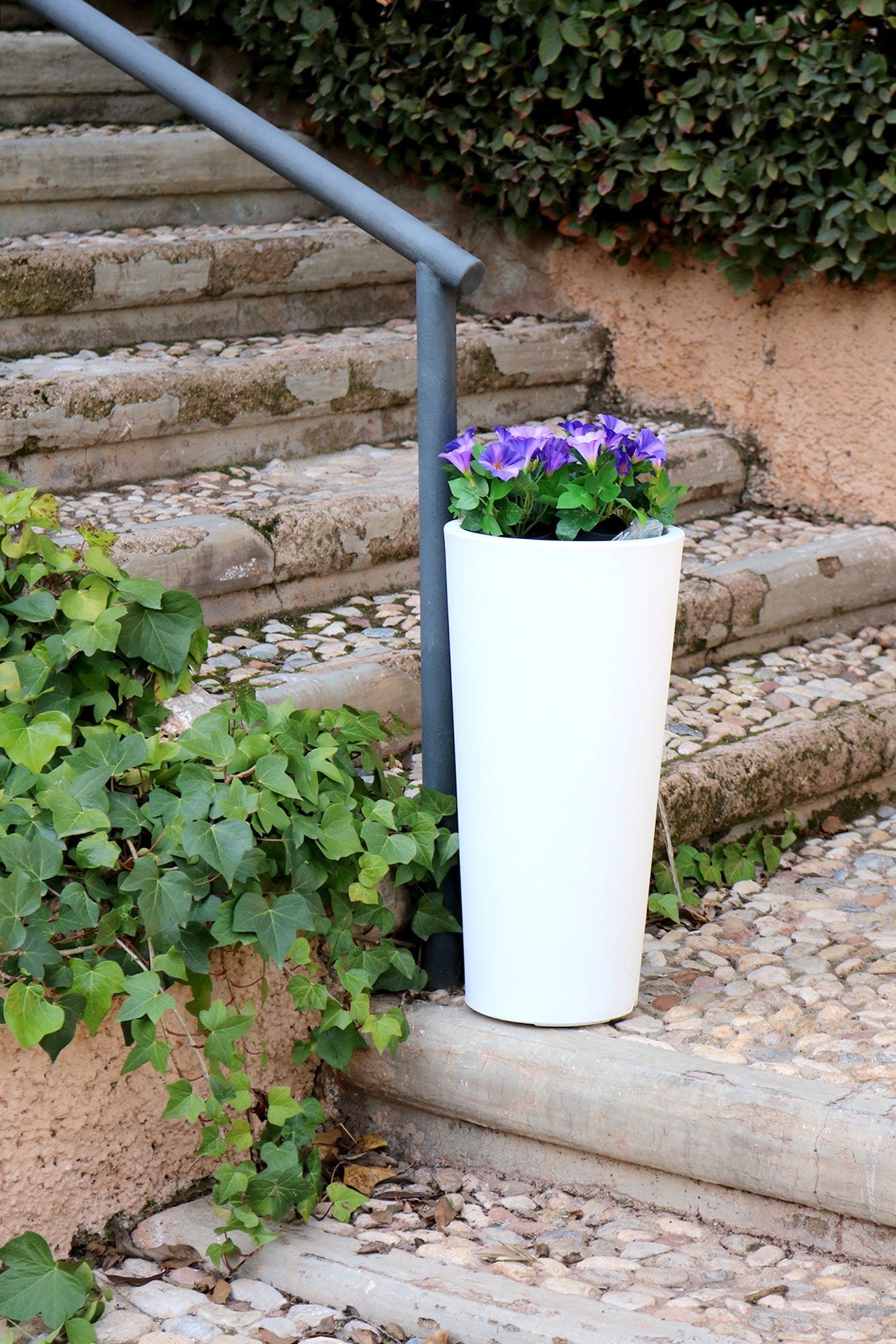 FICUS 60 Jardinière ronde et haute pour l'intérieur et l'extérieur Pour plantes et fleurs Très résistante au passage du temps. - Blanc - 5