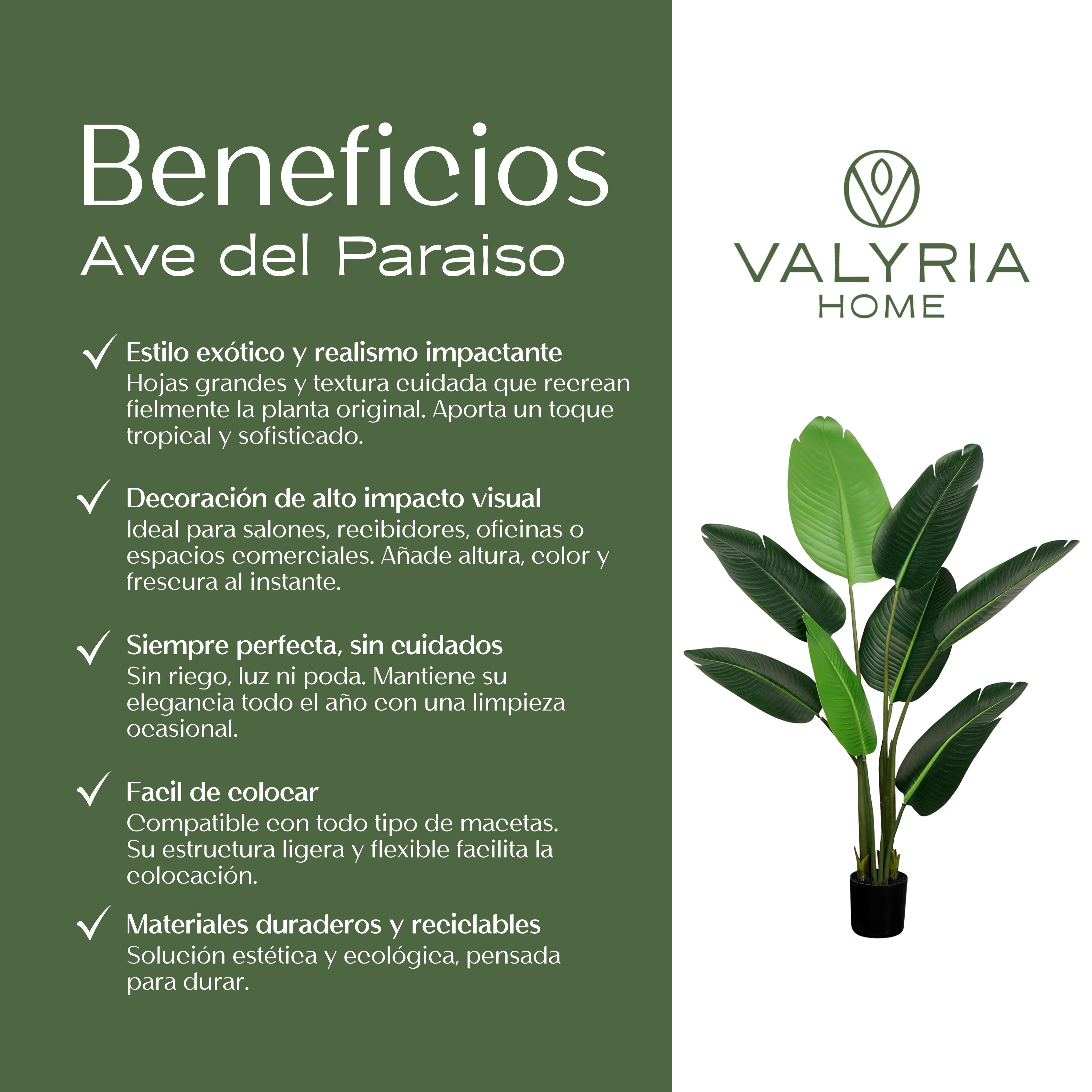 Planta Artificial Ave del Paraíso 160 cm – Strelitzia Realista de Estilo Tropical - 7