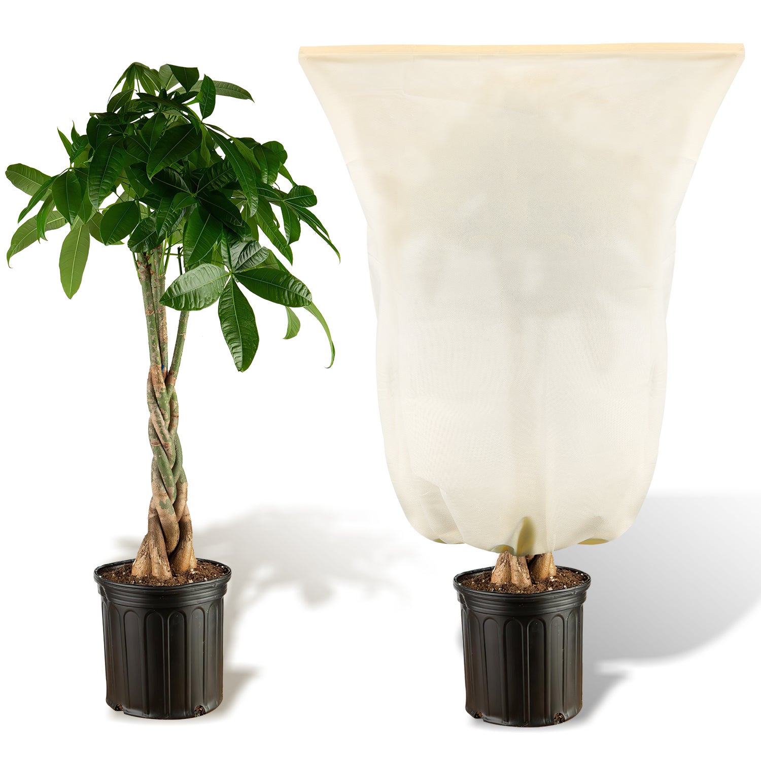 Lot De 3 Housses Hivernage Plantes 120x180cm - Voile De Protection Avec Fermeture Éclair Et Cordon