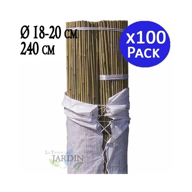 Lot de 100 Tuteur en Bambou 240 cm, 18-20 mm, Tubes en Bambou pour Plantes et Arbres, Baguettes de bambou, Canne de bambou - 2