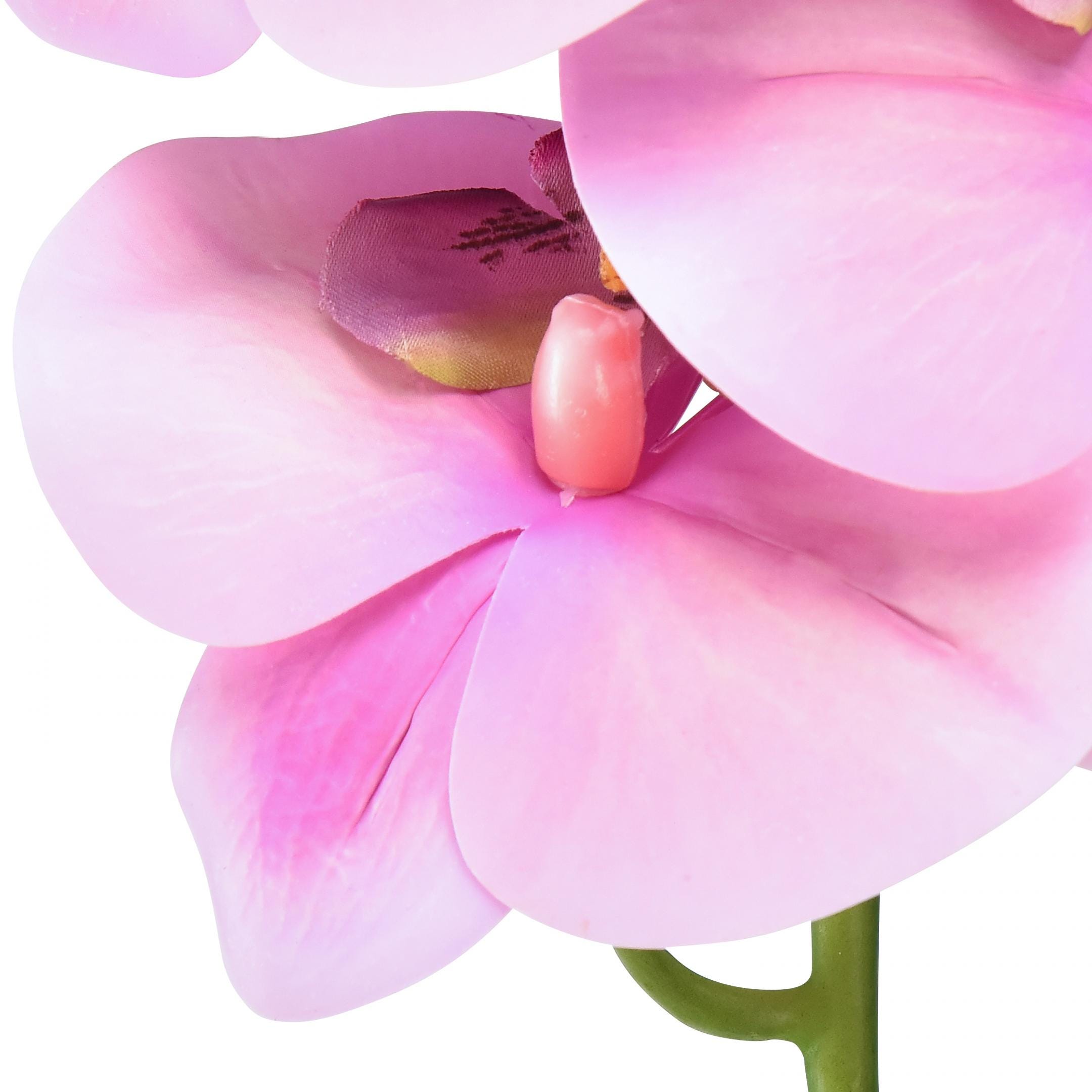Ordhdee Orchidée Phalaenopsis artificielle 8 fleurs | Leroy Merlin