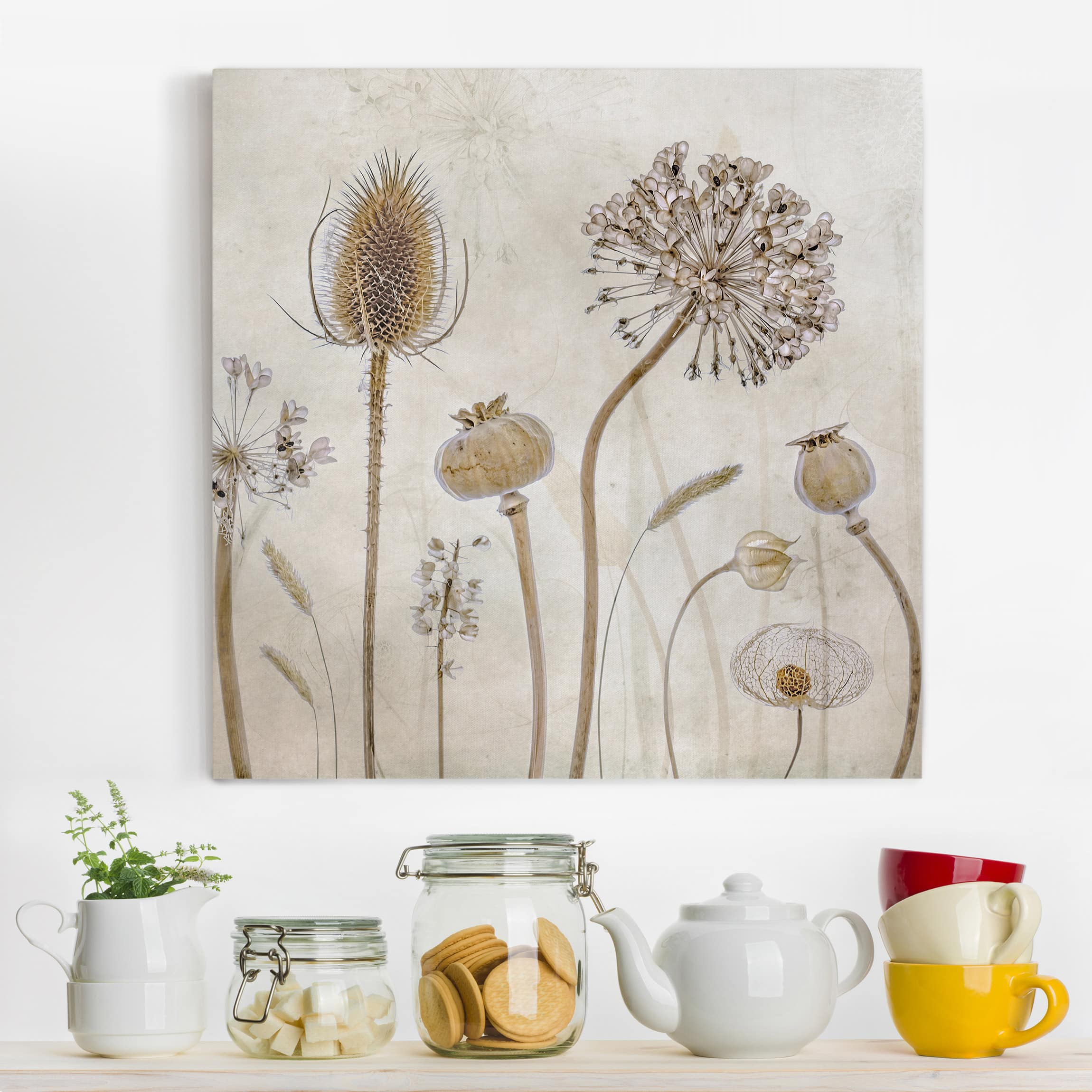 Lienzo cuadro en lienzo bastidor impresion en lienzo beige botánica planta vintage ilustración 221 dormitorio salón pasillo 70 x 70 cm