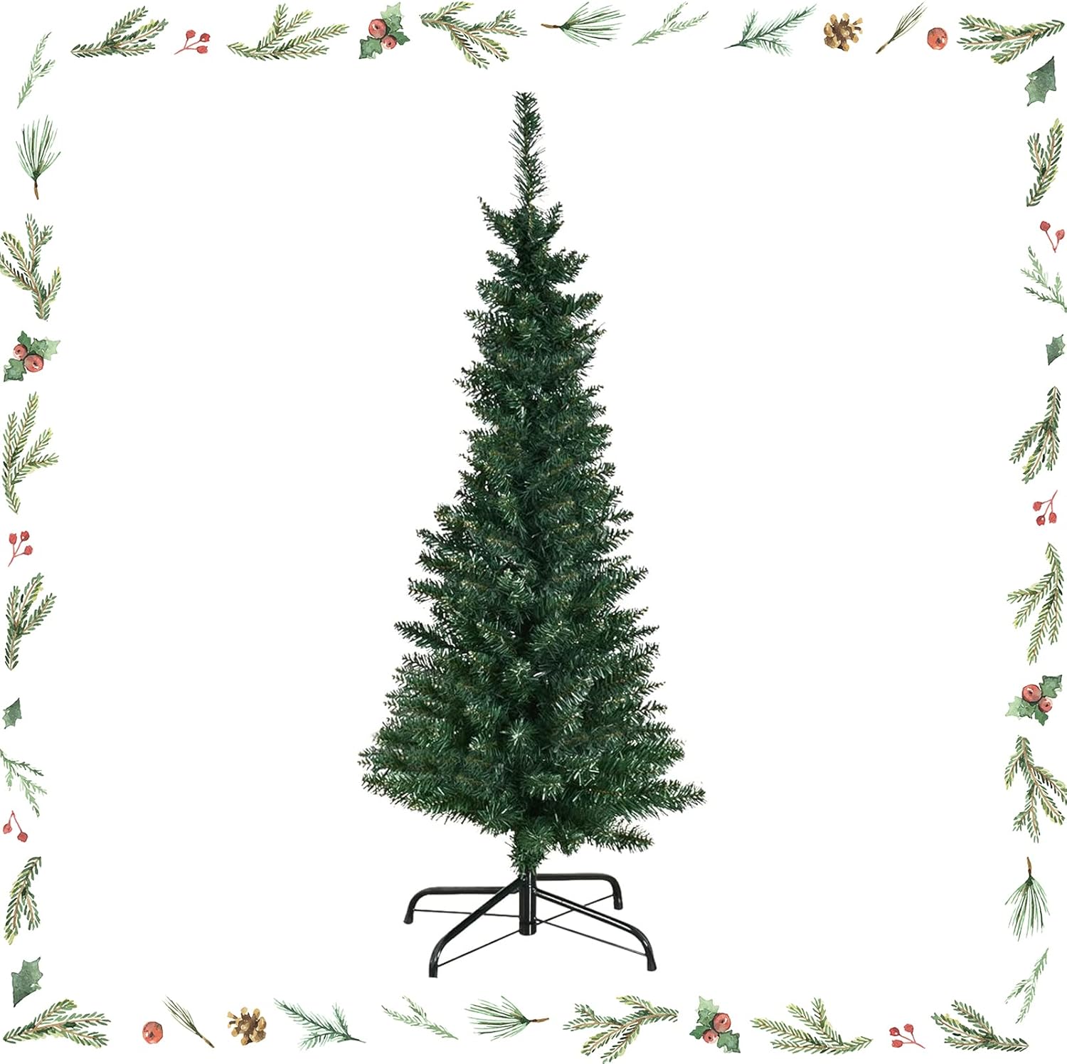 Sapin Haut Et Fin