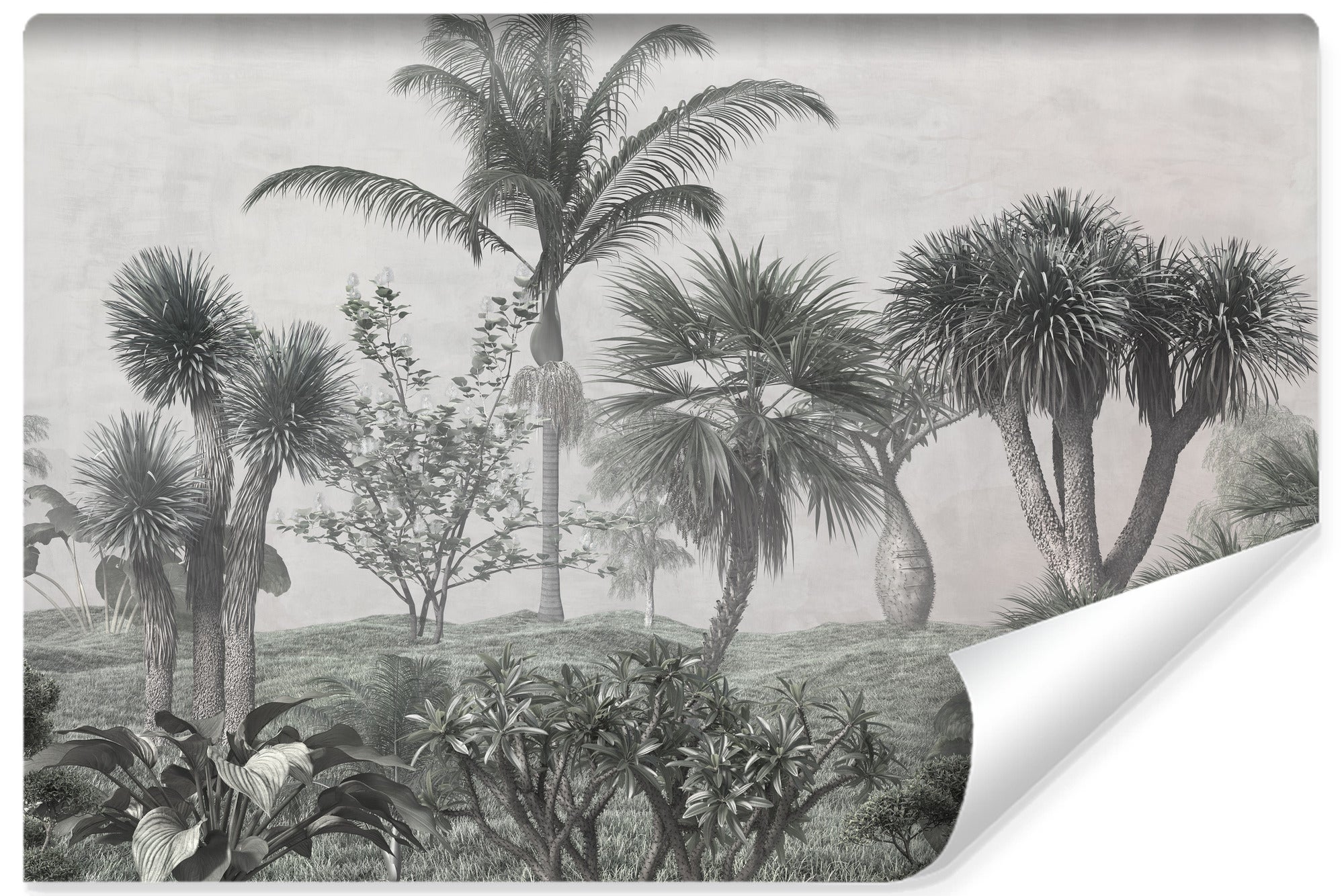 Papier Peint Intissé Photo Pour Chambre ARBRES Tropicales Nature 180cm