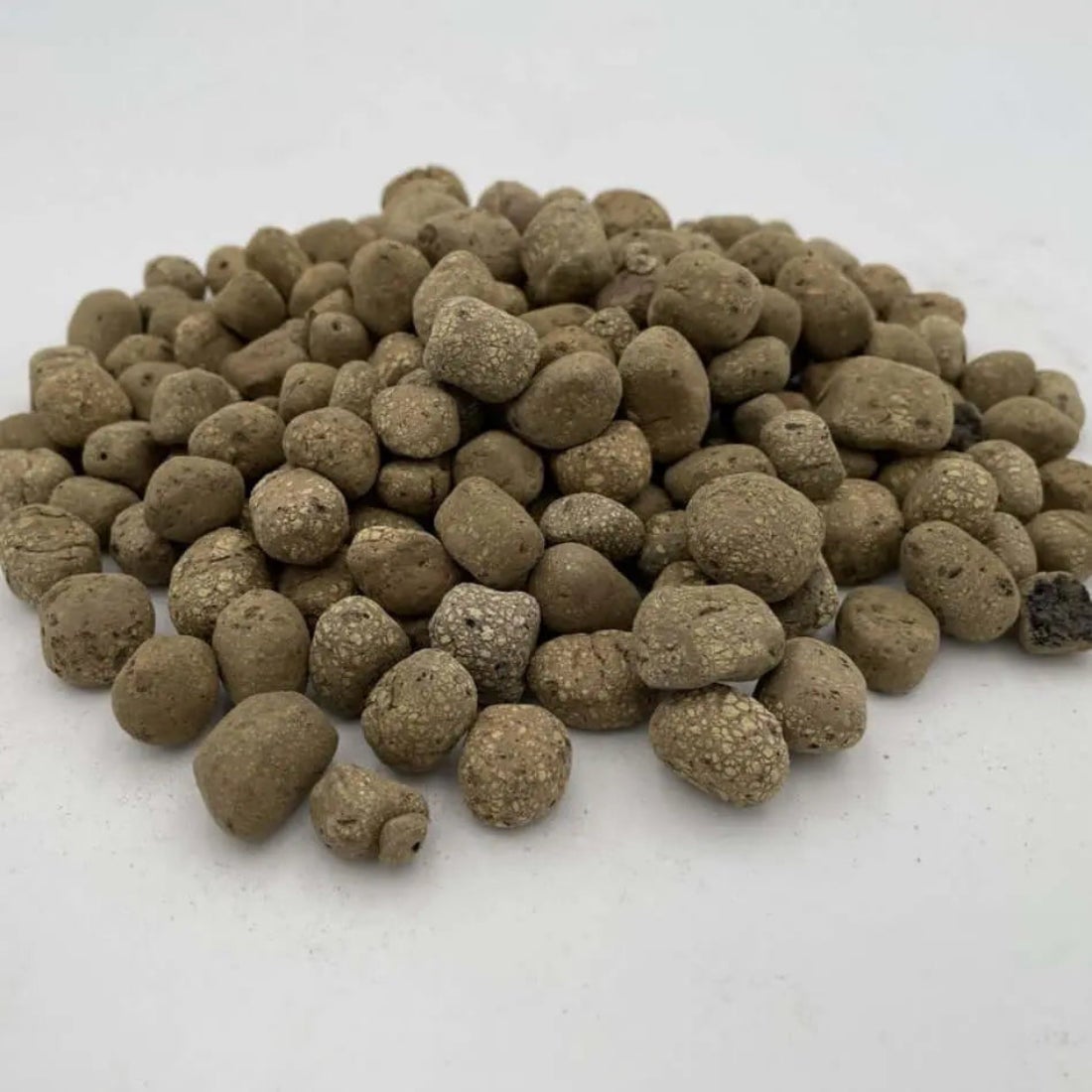 Arcilla expandida Argilestone Saco 50 L. / 8-12 mm - 2