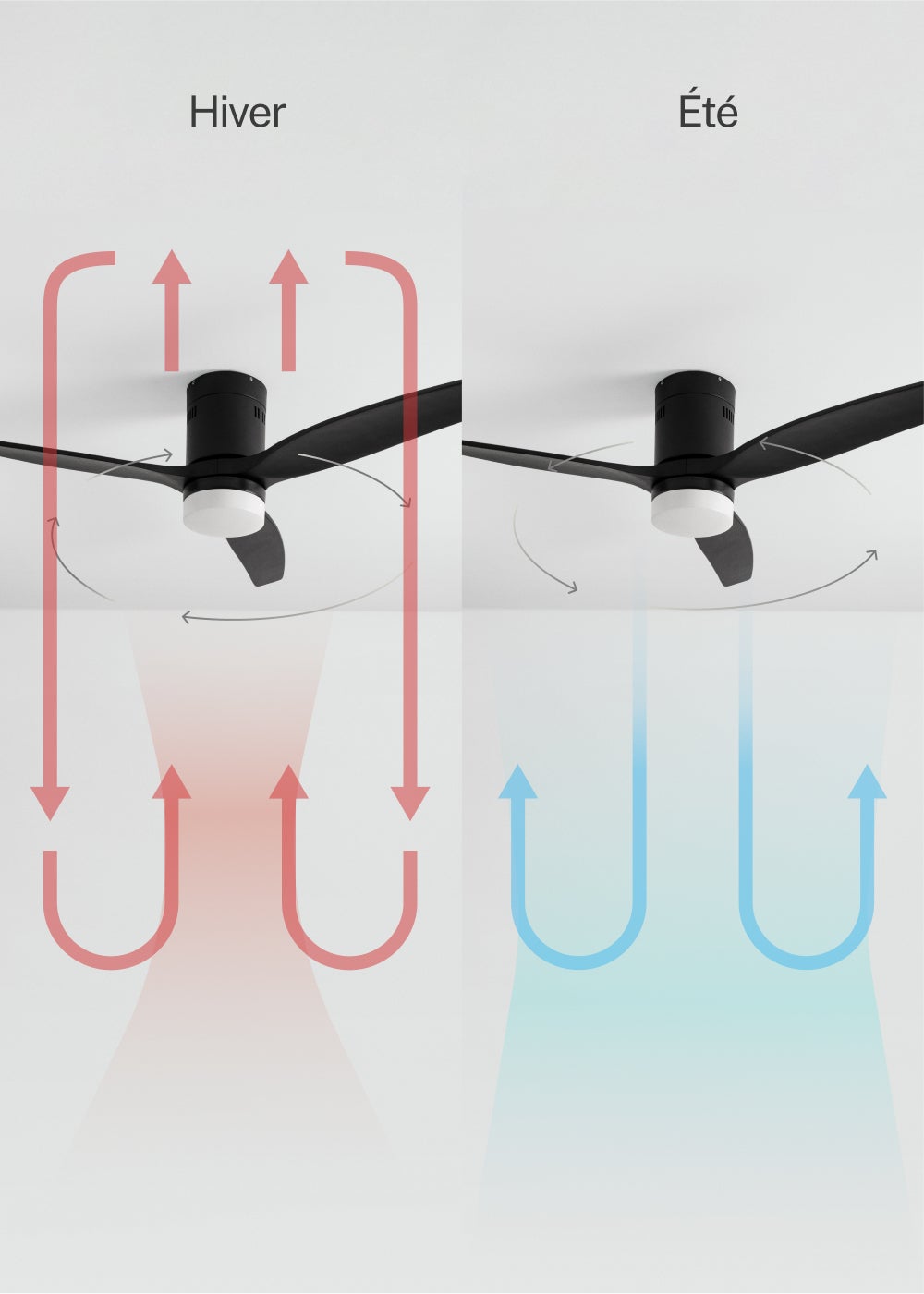 CREATE - WIND CALM M - Ventilateur de plafond silencieux 40W avec pales techniques en ABS Ø132cm avec eclaraige avec wifi - 5