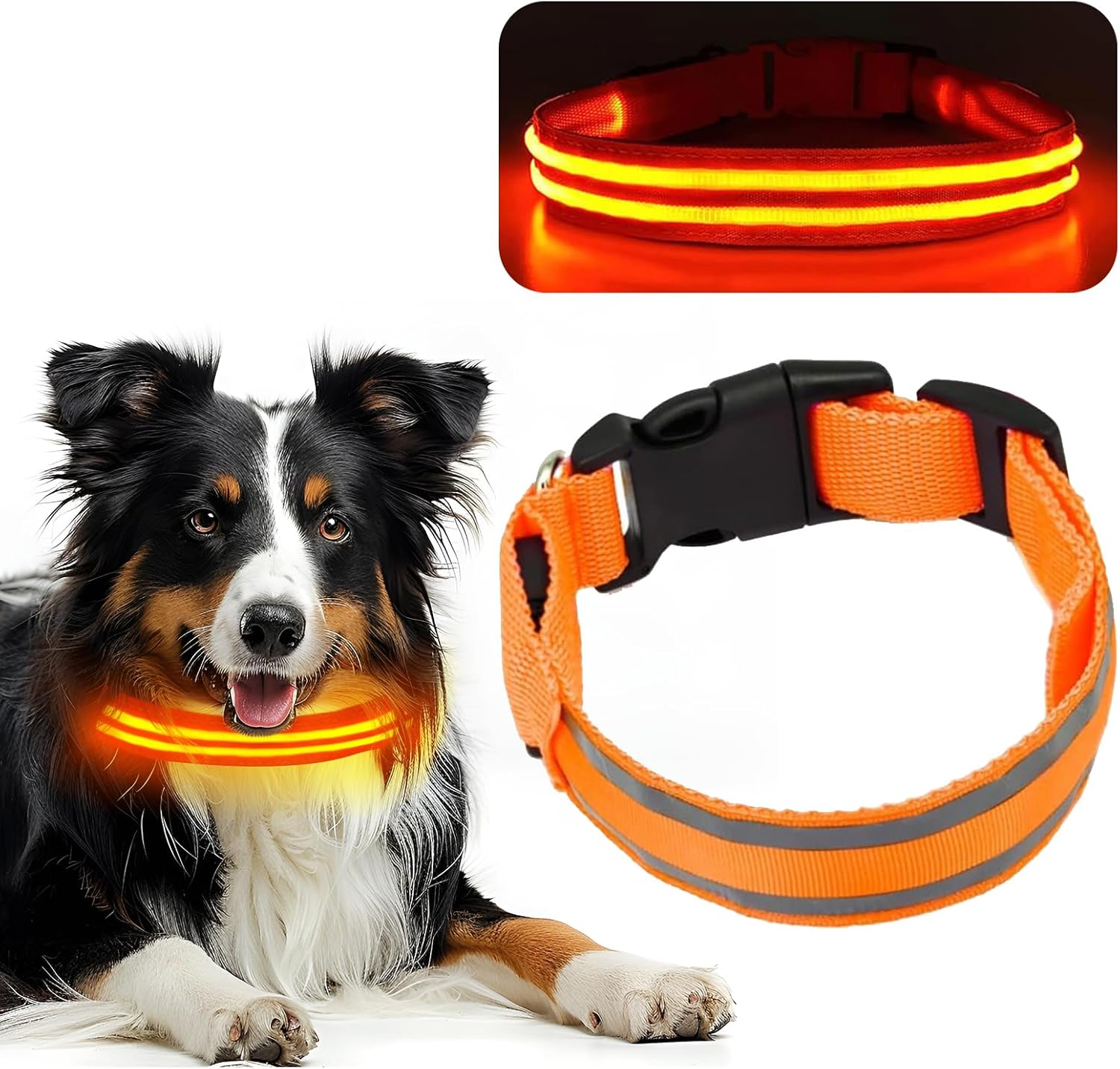 Collier Lumineux LED pour Chien – 3 Modes, USB Rechargeable, Sécurité ...