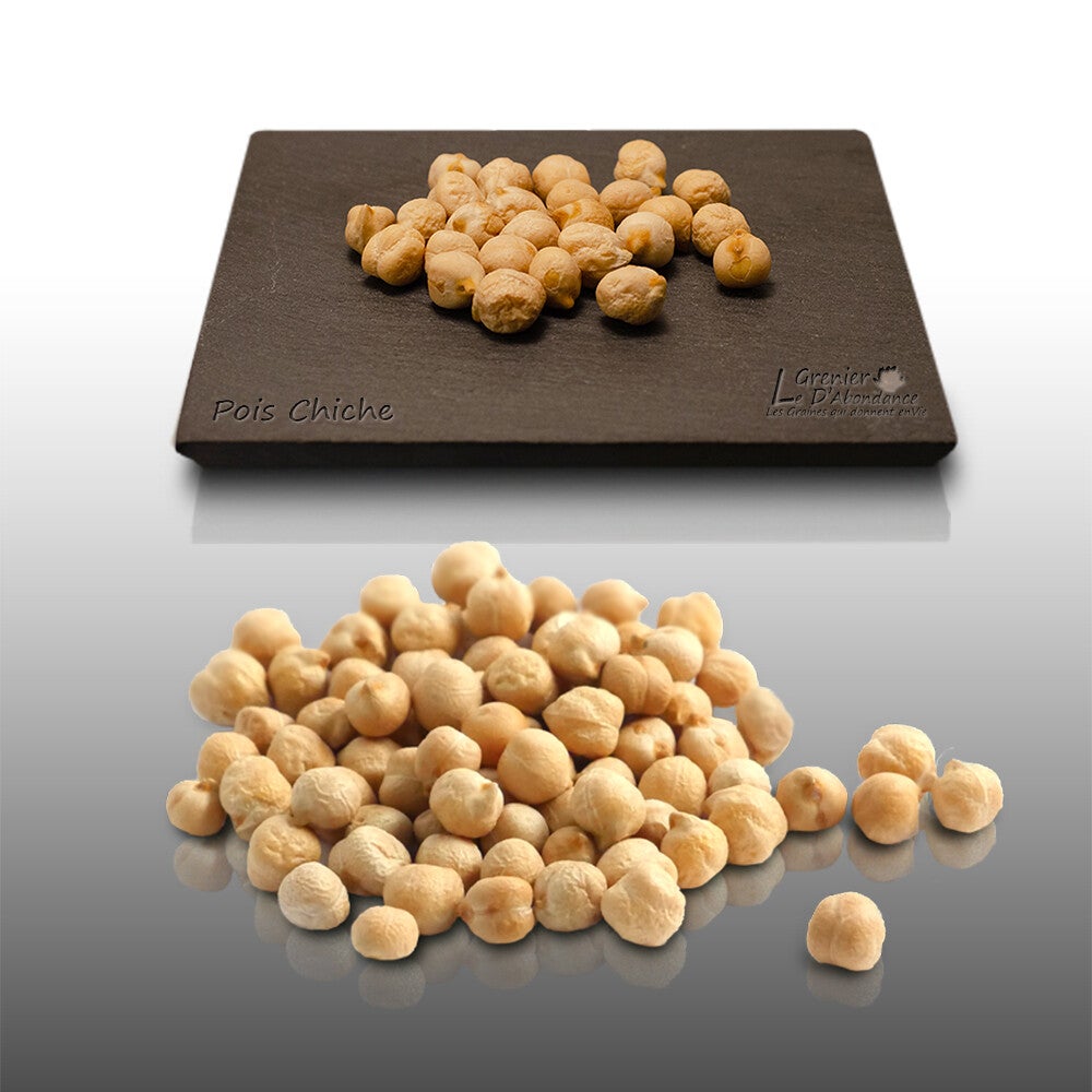 Graines Melons Et Pastèques - Lot De 6 Sachets (120 Graines) - Variétés Jaune Canari, Charentais...