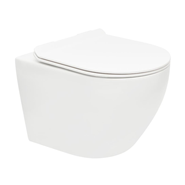 WC sospeso senza flangia S-Line Pro con sportello SoftClose e fissaggi nascosti, a incasso, bianco (WC01R)