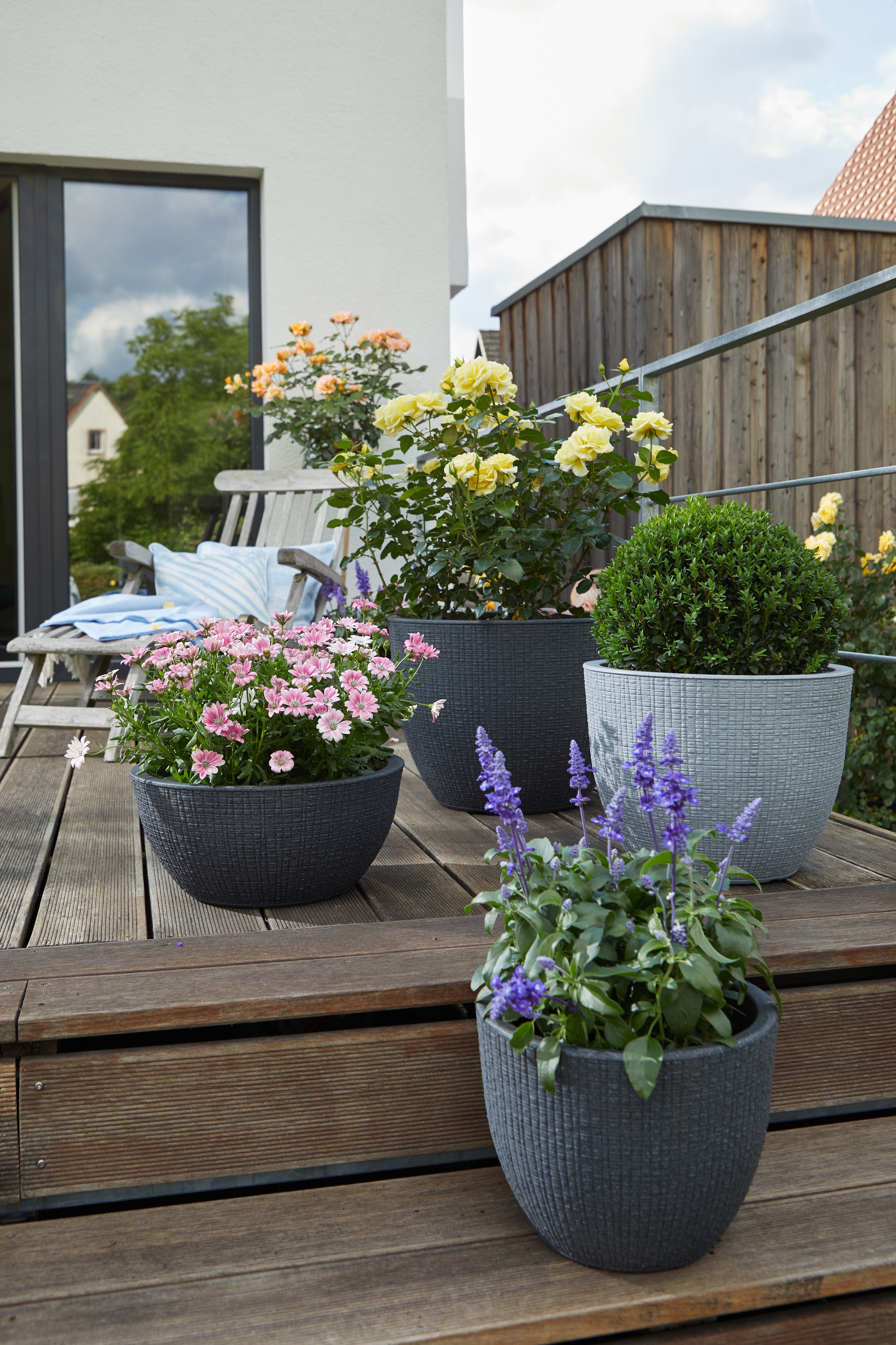 Scheurich Barceo 40, bac à plantes/pot à fleurs/jardinière, cylindrique, coloris: Stony Grey, fabriqué avec du plastique recyclé, pour l’extérieur - 2