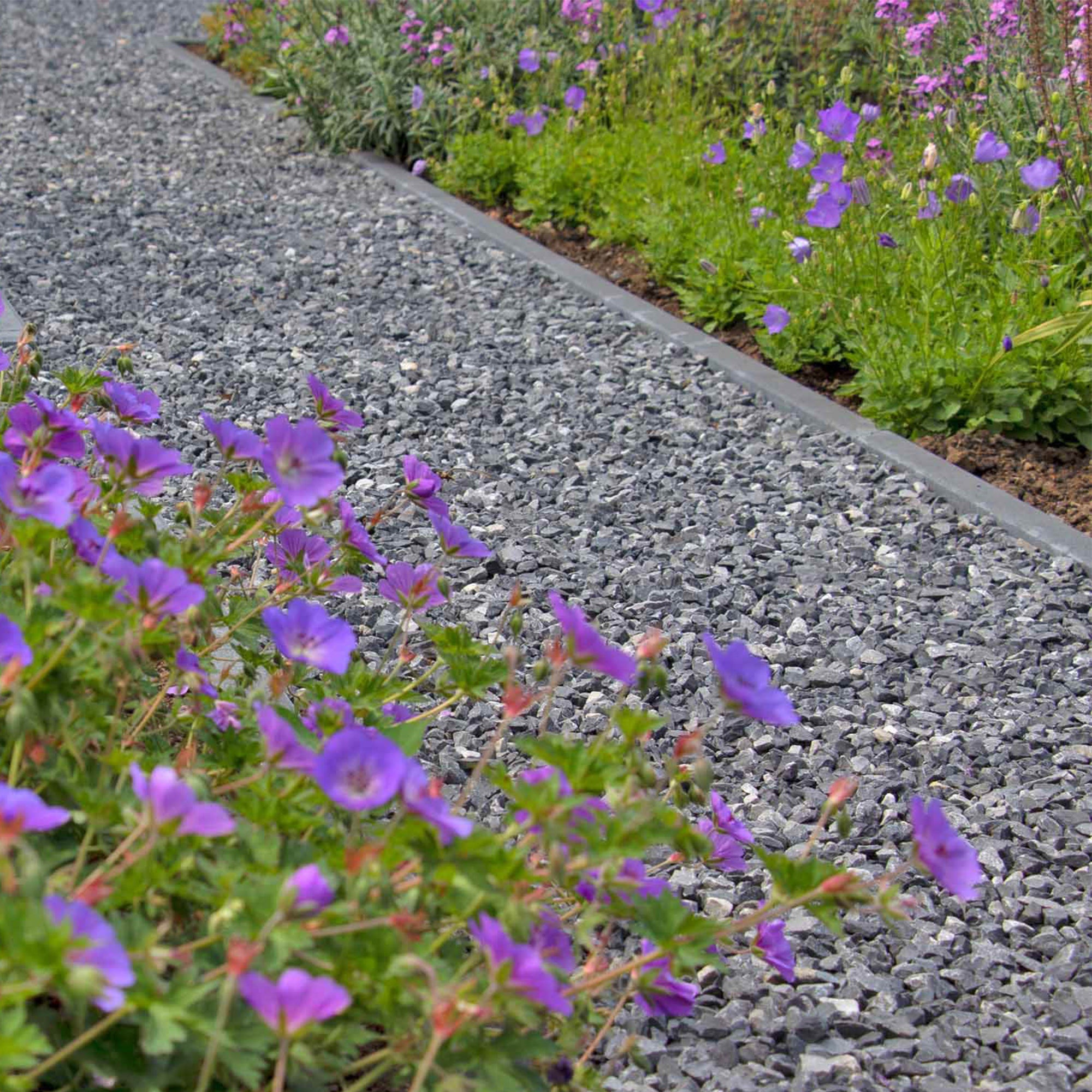 Gravier Calcaire Gris 7-14 mm - Pack de 4m² (10 sacs = 200kg) - RO'MA Nature - 2