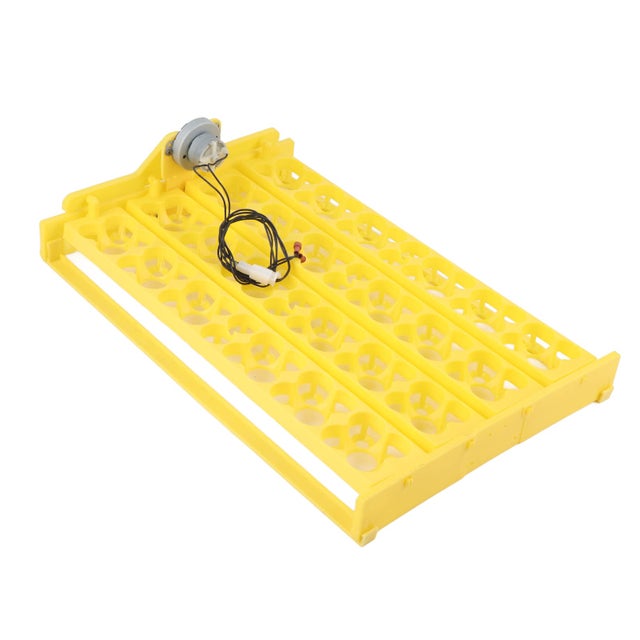 Incubatrice Per Uova Automatica 12 Uova - Con Girauova, Termostato, Display LED, Per Tartarughe E Rettili - Foto 5