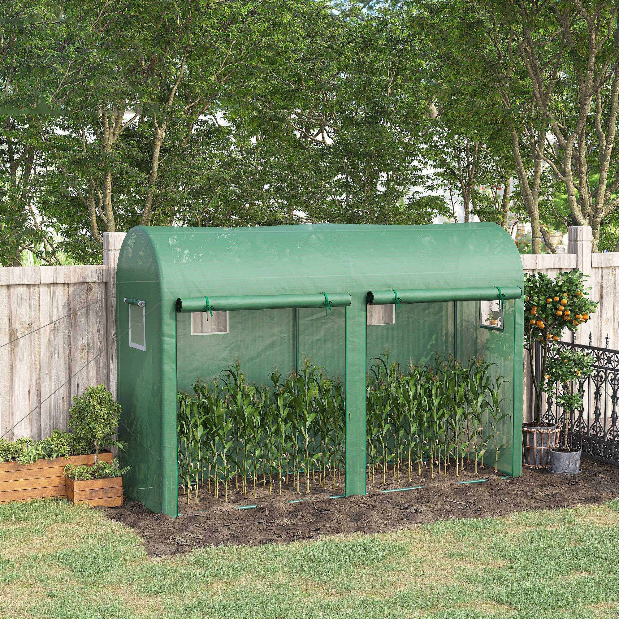 Serre de jardin 3 m² en PE,serre d'extérieur avec bâche renforcée 140 g/m² Anti-UV,2 portes zippées déroulantes et 4 fenêtres enroulables,3 x 1 x 2 m - 4