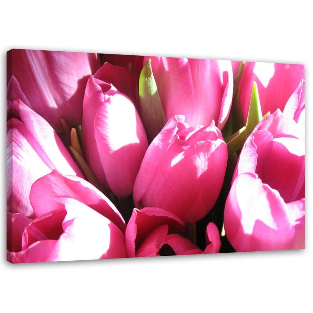 Obraz na płótnie, Bukiet różowych tulipanów 90x60