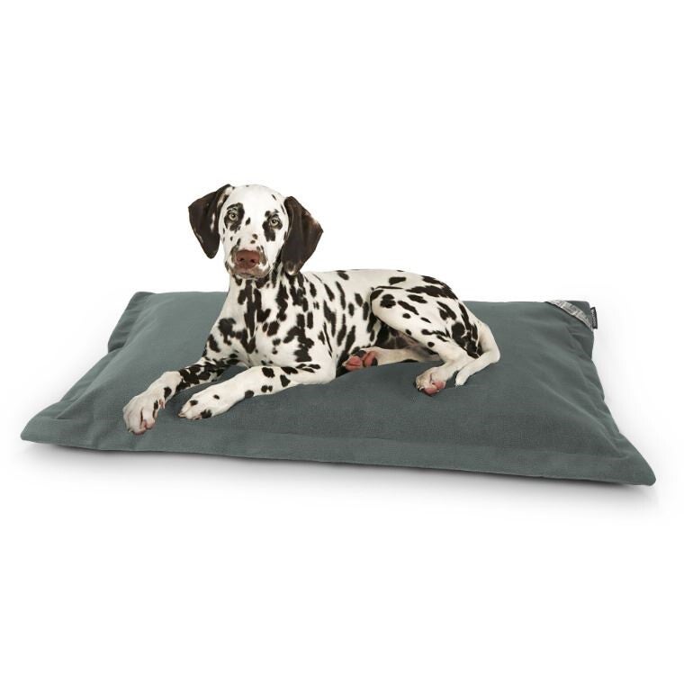 Coussin pour Chiens ou Chats, Aquaclean et Anti-taches Couleur Gris M - 3