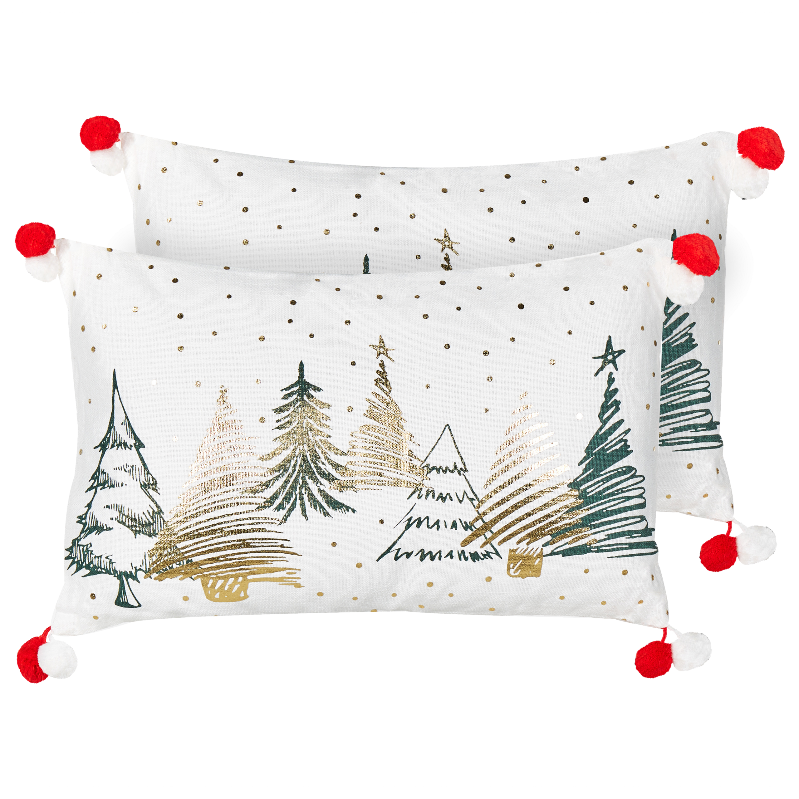 Coussin Noel 30x50