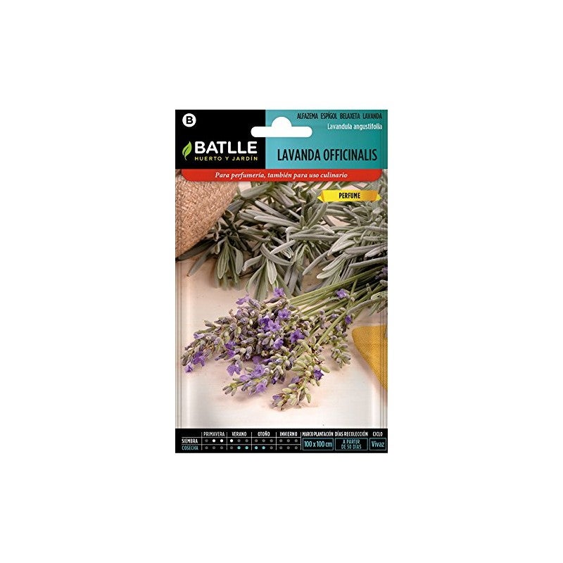 Semillas De Genciana - 40 Semillas De Flores Resistentes Al Invierno Para Balcón O Jardín | Plantas Decorativas Silvestres