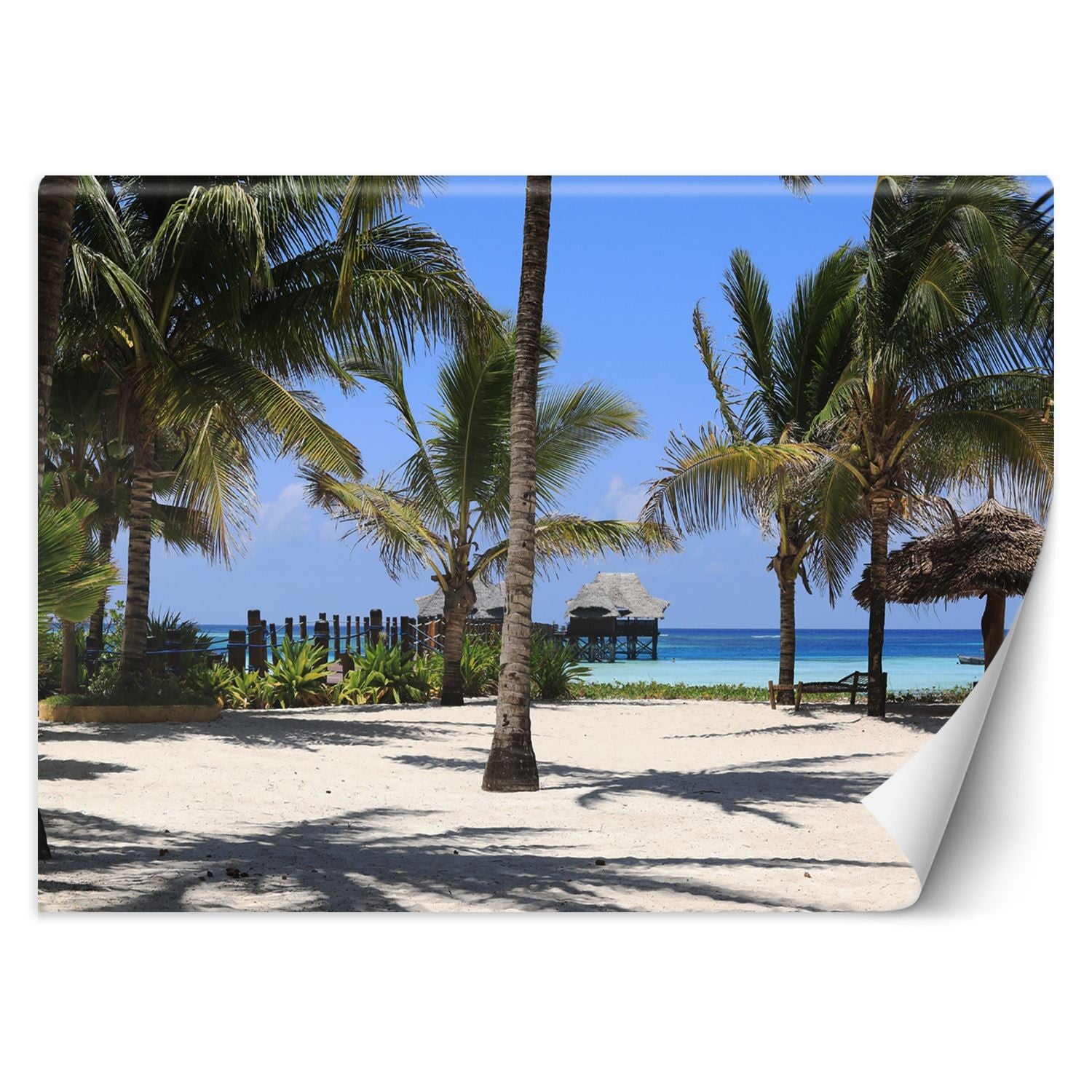 Fototapeta, Palmy rajska plaża 450x315