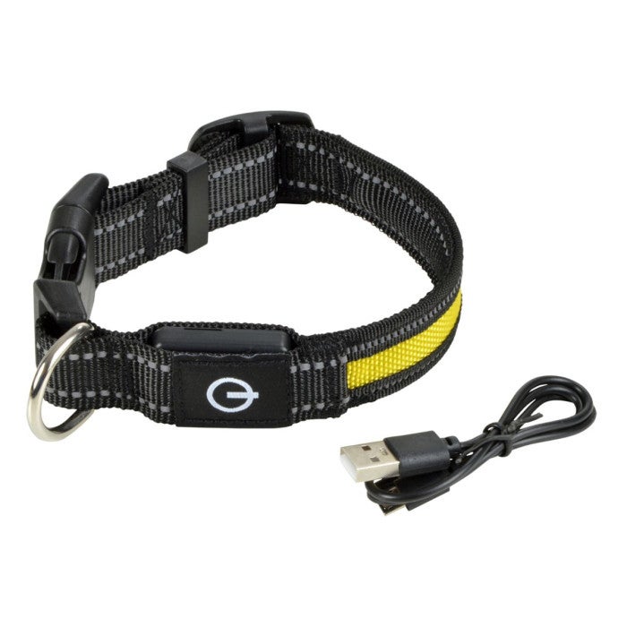 Collier Lumineux LED Pour Chien Rechargeable USB - 3 Modes, étanche, Réglable - Visibilité Nocturne Pour Promenades En Sécurité