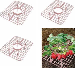 Set di 10 supporti per fragole - Supporto per piante di fragole - Vassoio di supporto per piante - Traliccio per piantagione da giardino | Leroy Merlin