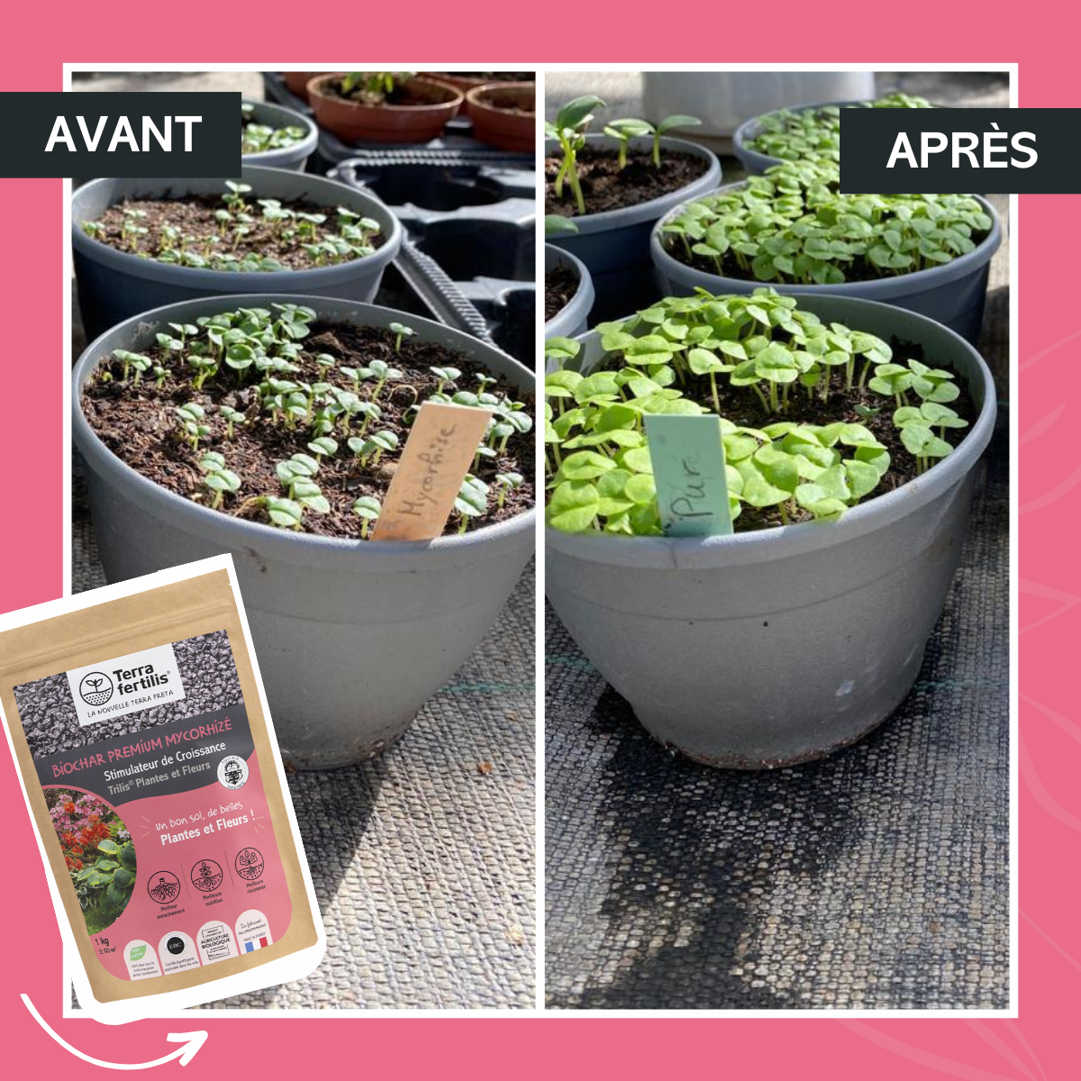Fertilisant Plantes Et Fleurs À Base De Mycorhizes - 250g - 4