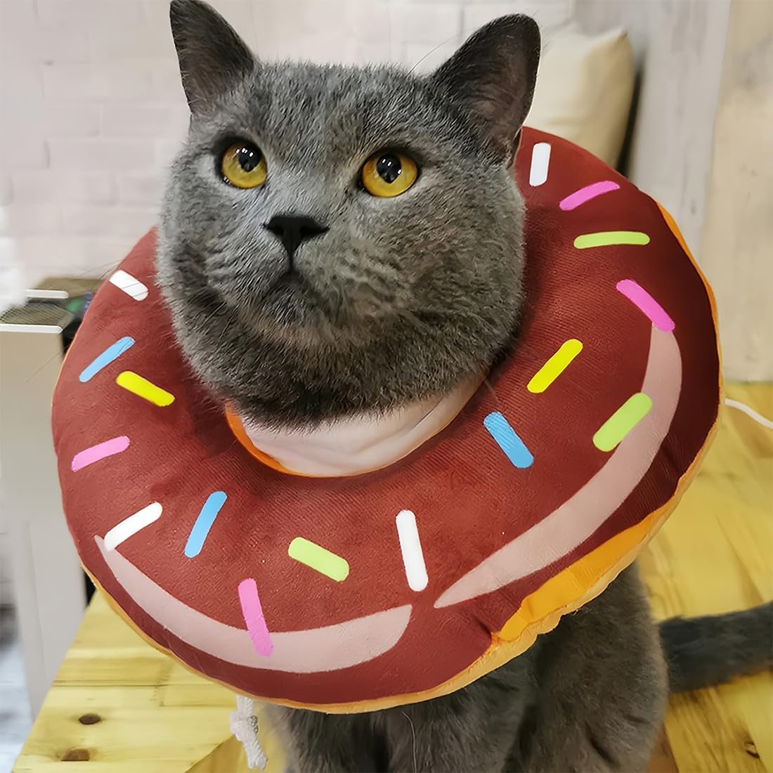 Coleira protetora lavável para recuperação pós-operatória de cães e gatos, 25 cm - Coleiras grandes para animais de estimação. - 3