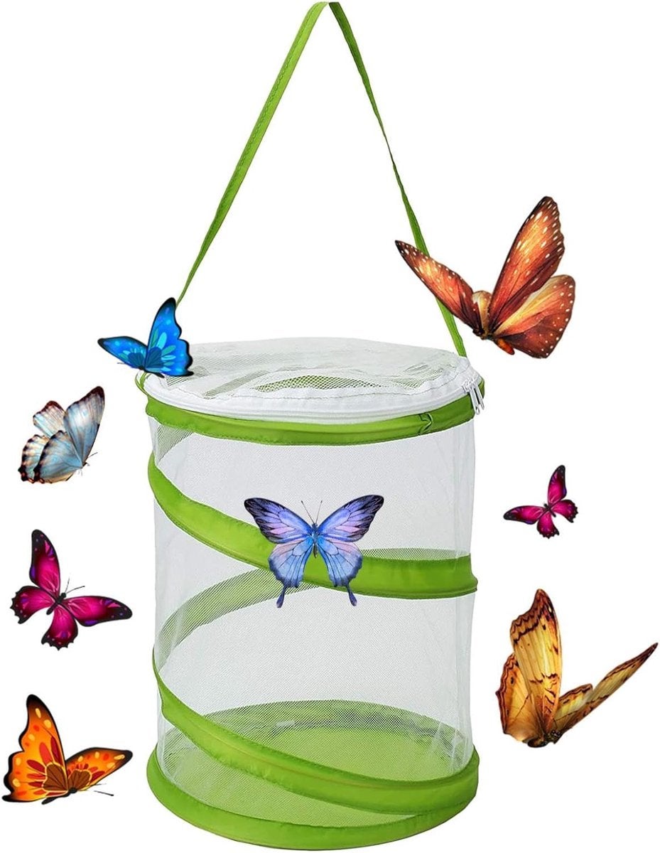 Colivie pentru fluturi, Colivie pentru insecte 15 x 20 cm, Colivie pentru reproducere în plasă pentru educație științifică