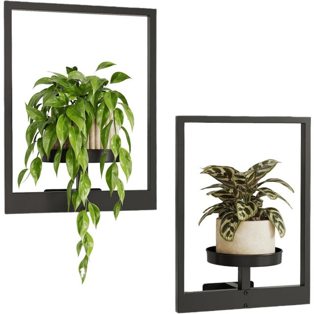 2 pièces, cadre photo mural pour plantes, étagère pour plantes de fenêtre, jardinières murales pour plantes d'intérieur, pot non inclus