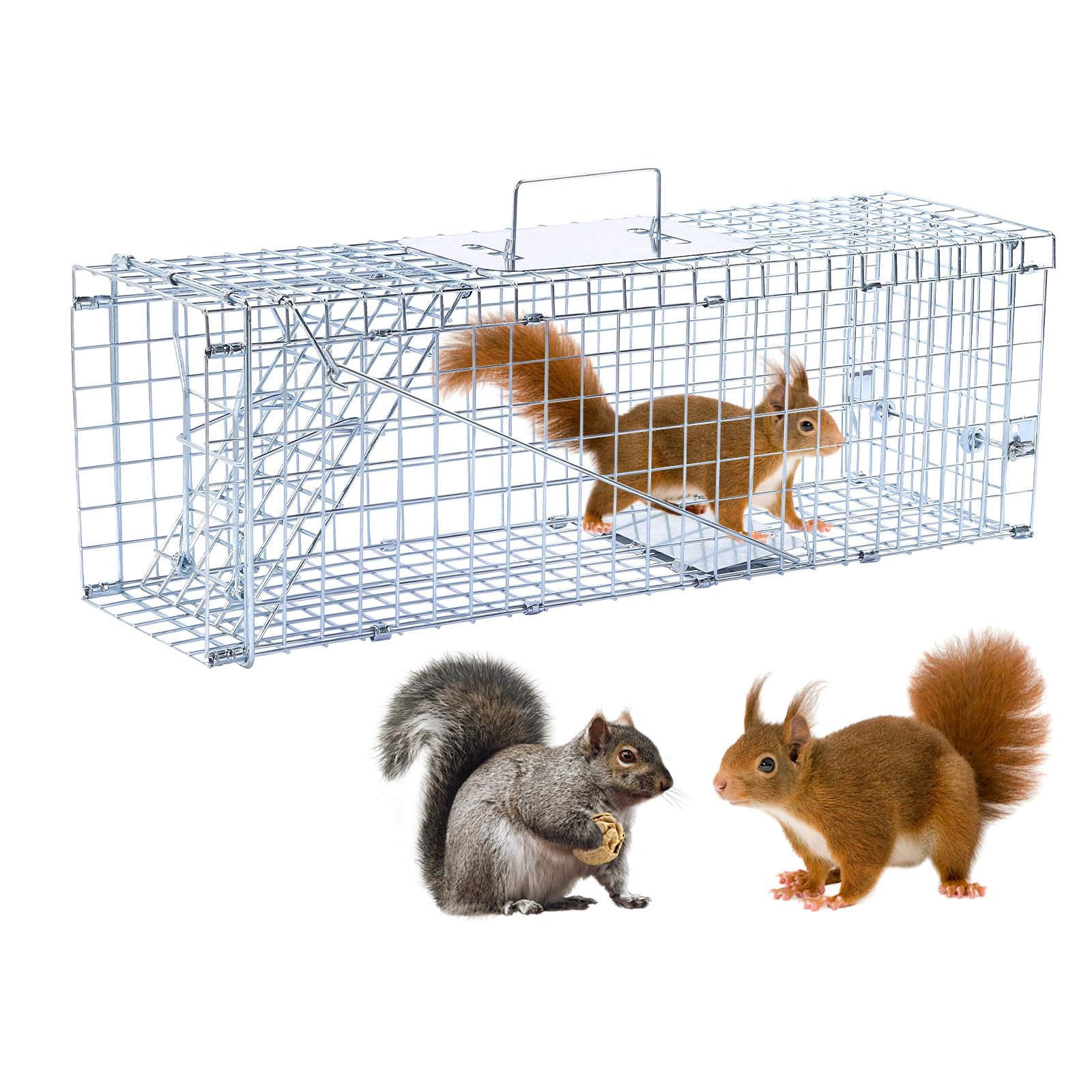 Gachiwar 2 Pack Piège Anti Puces Et Cafards - Sans Produits Chimiques, Adapté Enfants Animaux